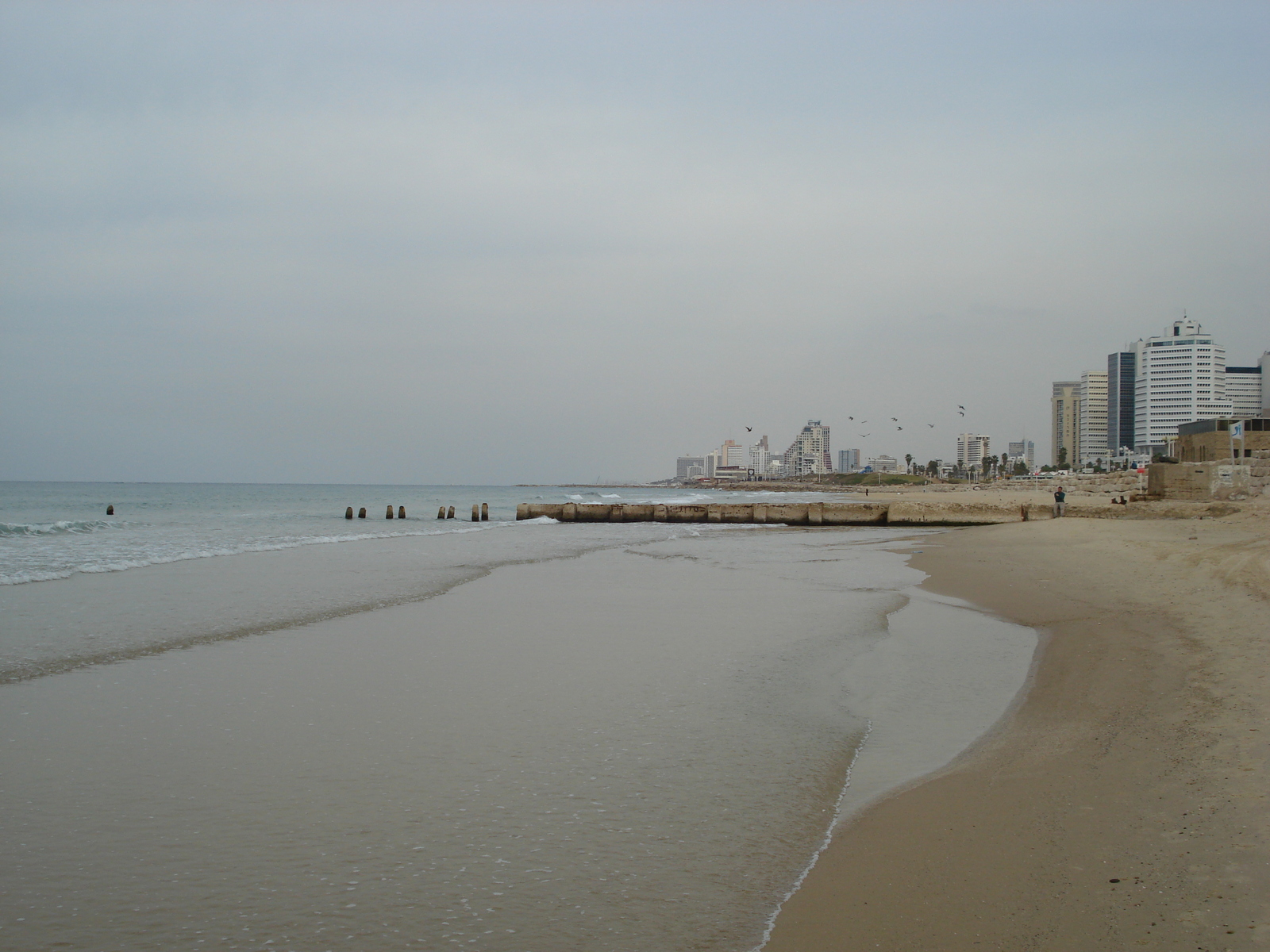 รูปถ่าย อิสราเอล(Israel) เทลอาวีฟ(Tel Aviv) ชายหาดเทลอาวีฟ(Tel Aviv Sea Shore) 2006-12 298