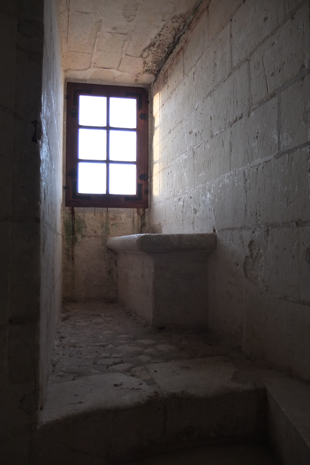 รูปถ่าย ฝรั่งเศส(France) ปราสาทลอช(Loches Castle) 2013-01 21