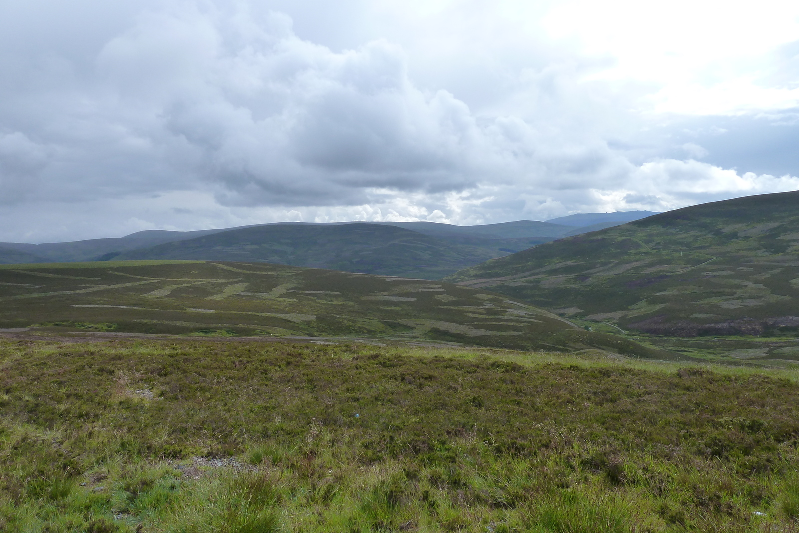 รูปถ่าย อังกฤษ(United Kingdom) อุทยานแห่งชาติแคร์นกอร์มส์(Cairngorms National Park) 2011-07 10