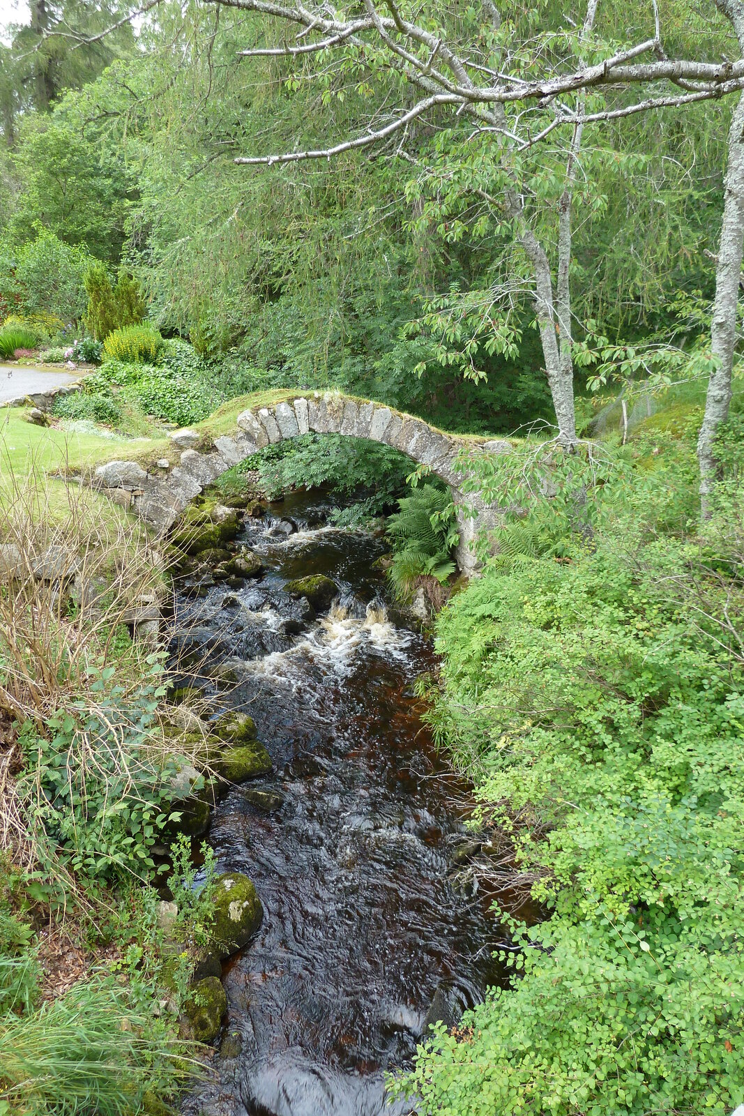 รูปถ่าย อังกฤษ(United Kingdom) อุทยานแห่งชาติแคร์นกอร์มส์(Cairngorms National Park) 2011-07 127