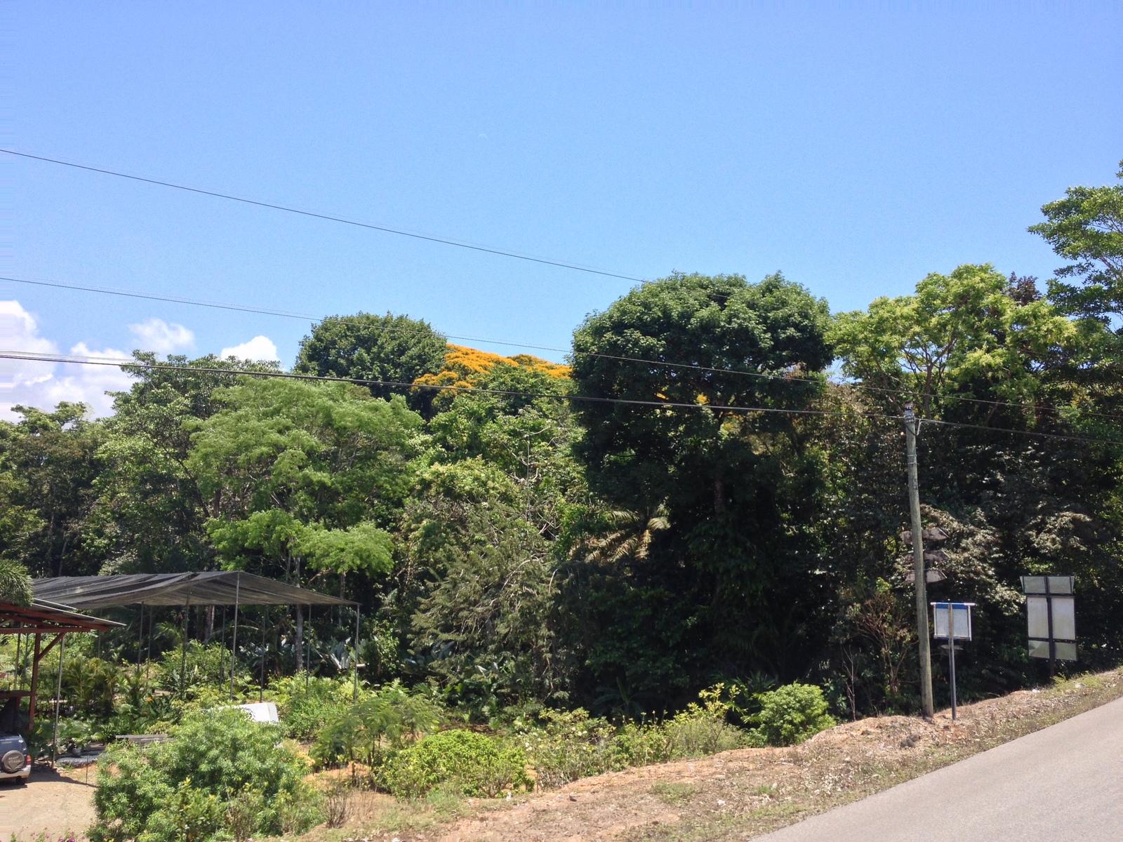 รูปถ่าย คอสตาริกา(Costa Rica) ฝั่งมหาสมุทรแปซิฟิก(Pacific Border) 2015-03 8