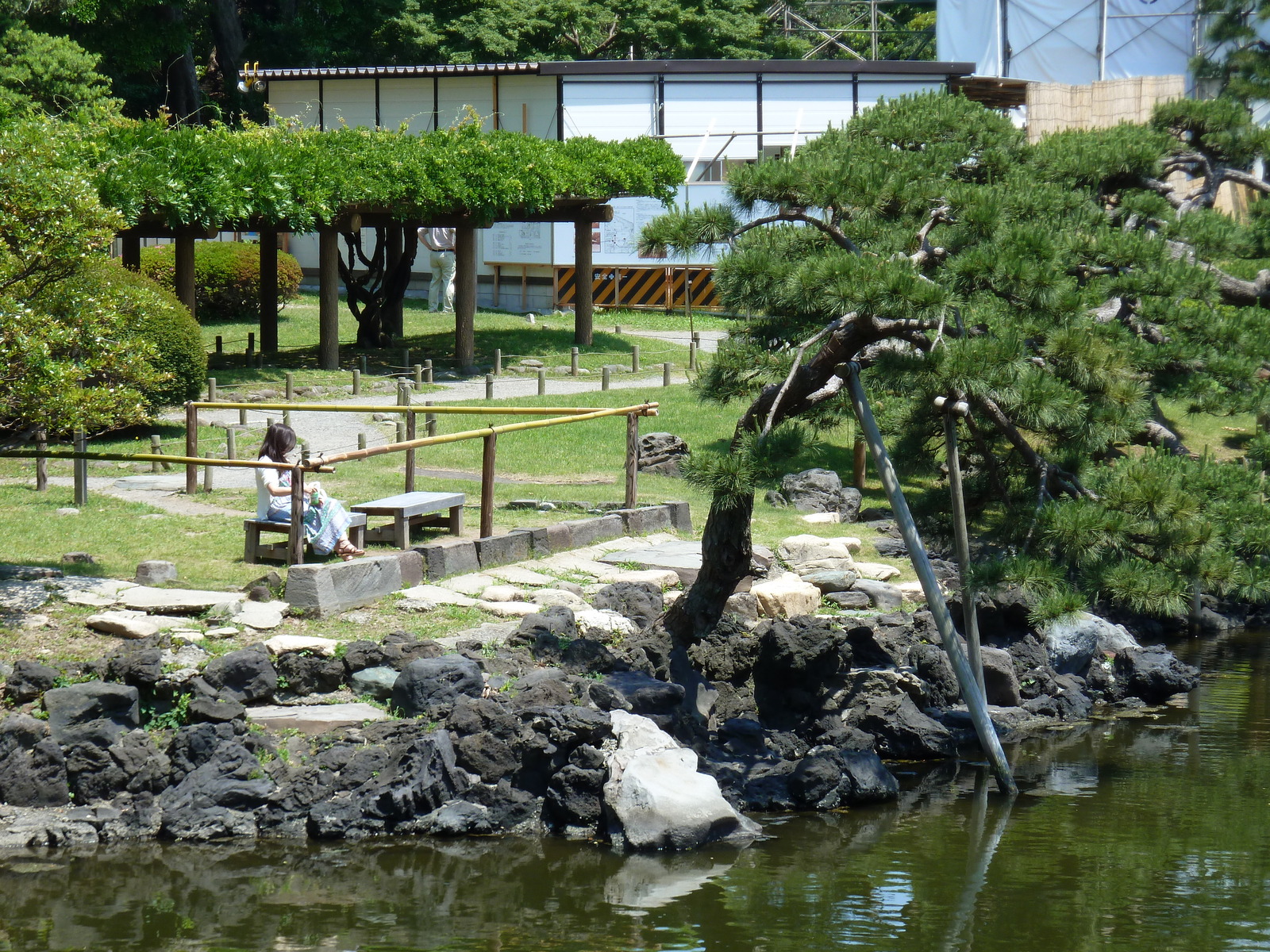 รูปถ่าย ญี่ปุ่น(Japan) โตเกียว(Tokyo) สวนฮามะริคิว(Hama rikyu Gardens) 2010-06 107