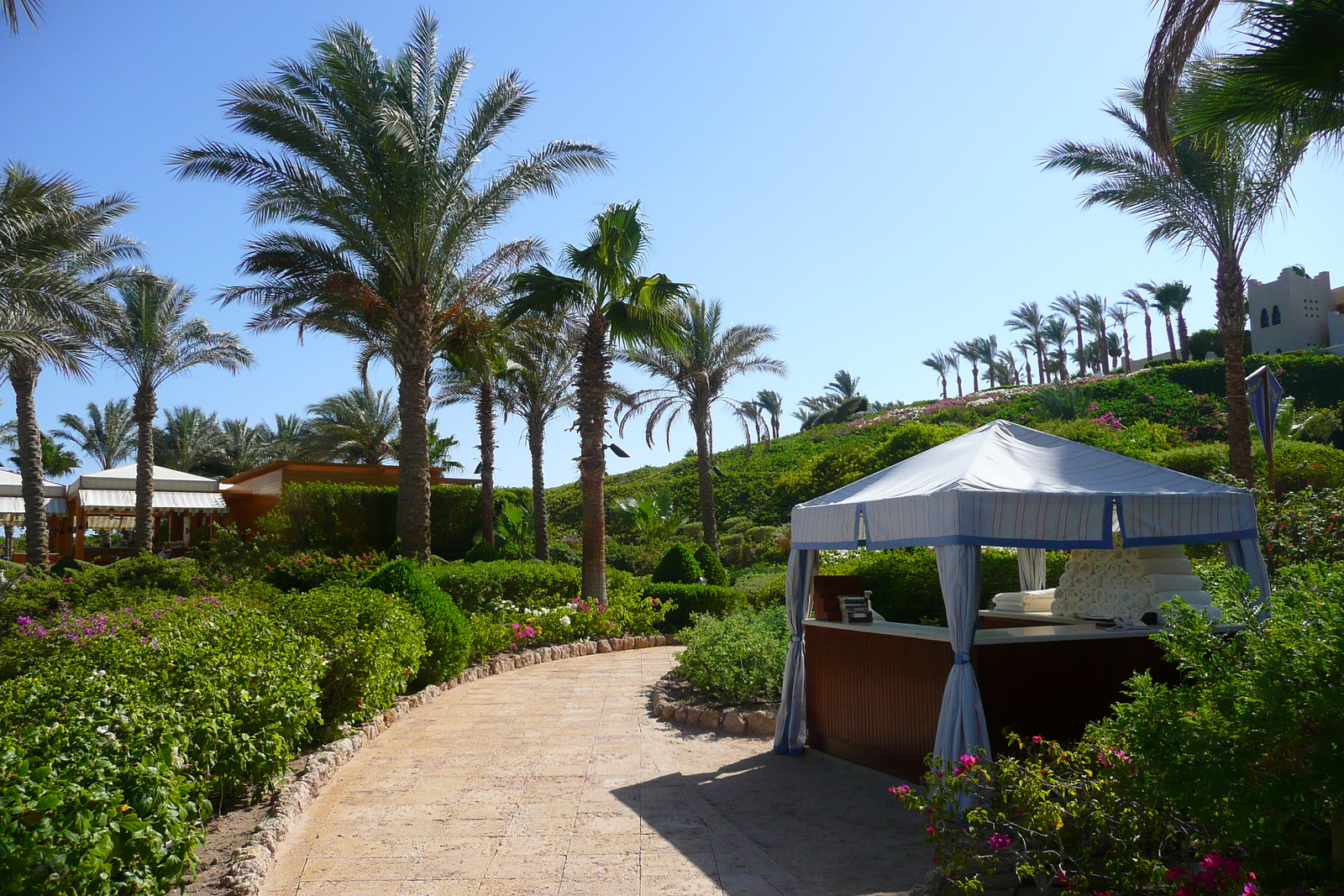 รูปถ่าย อียิปต์(Egypt) ชาร์มเอลชีค(Sharm el Sheikh) โรงแรมโฟร์ซีซันส์(Four Seasons Hotel) หาดโฟร์ซีซันส์(Four Seasons Beach) 2008-06 21