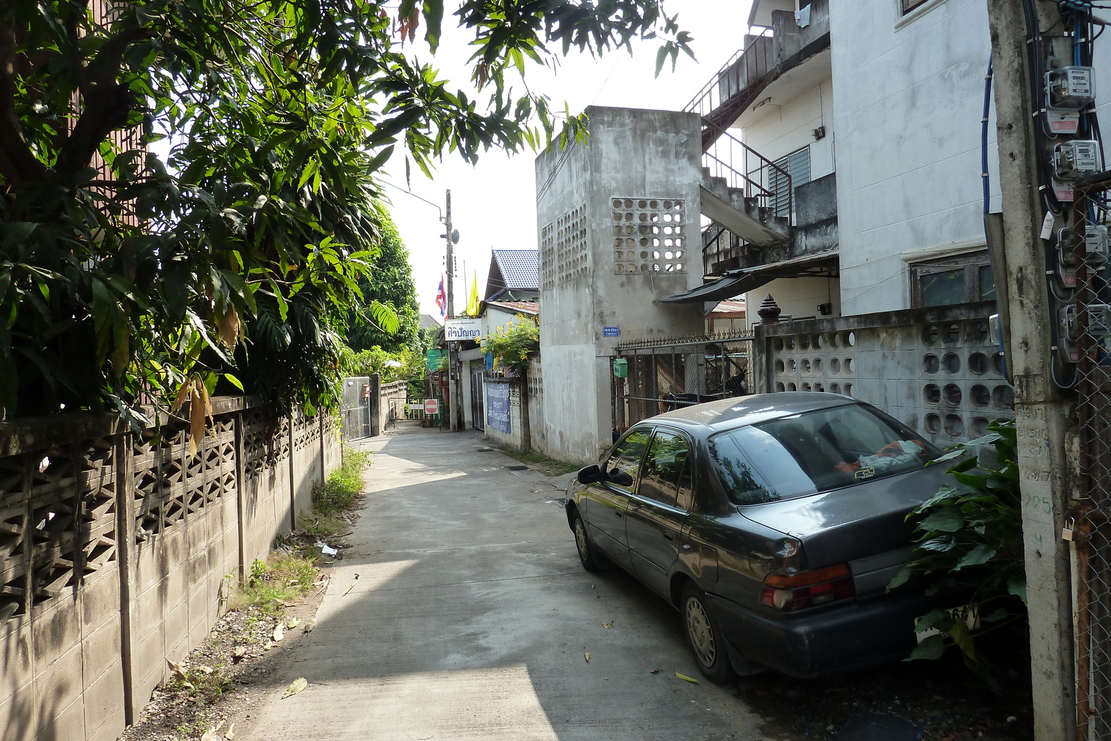 รูปถ่าย ไทย(Thailand) เชียงใหม่(Chiang Mai) 2010-12 31