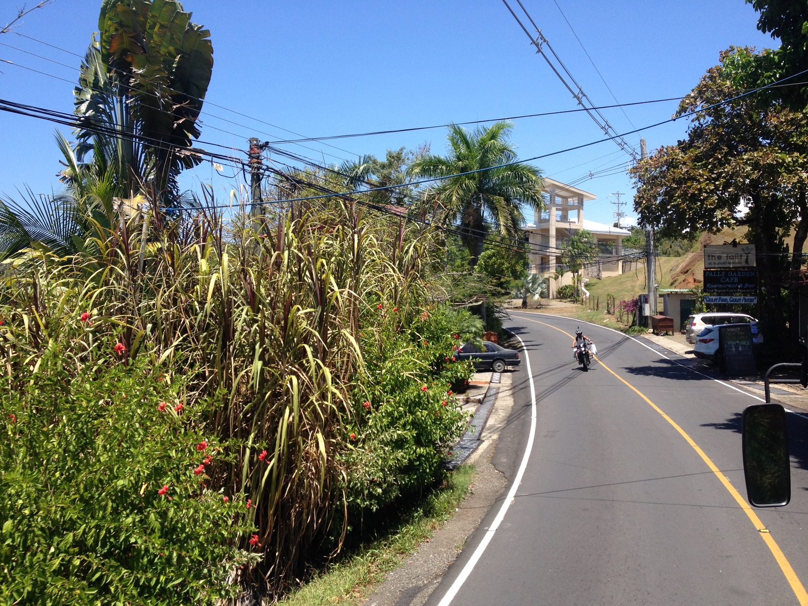 รูปถ่าย คอสตาริกา(Costa Rica) มานวยล์อันโตนีโอ(Manuel Antonio) 2015-03 429