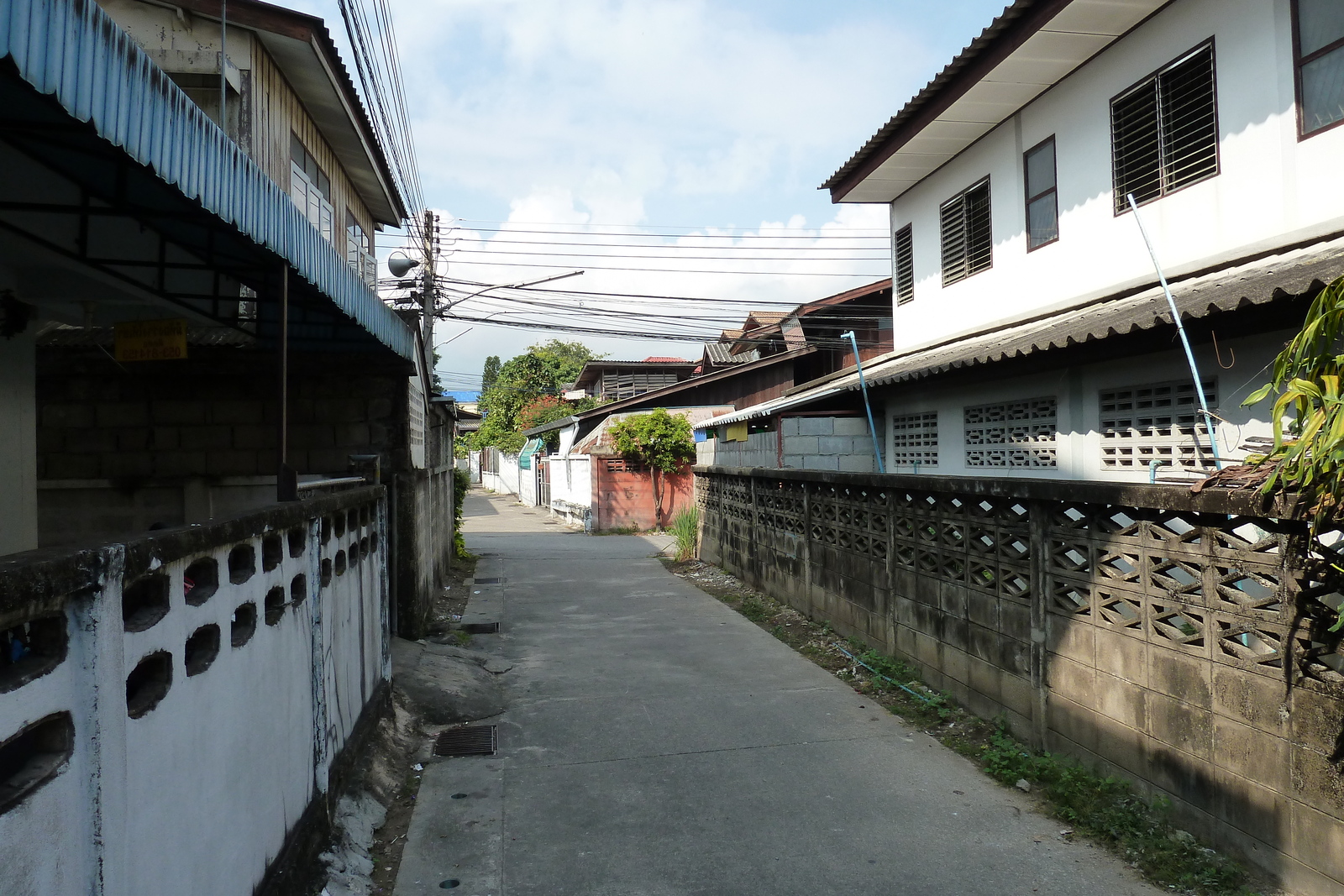 รูปถ่าย ไทย(Thailand) เชียงใหม่(Chiang Mai) 2010-12 44