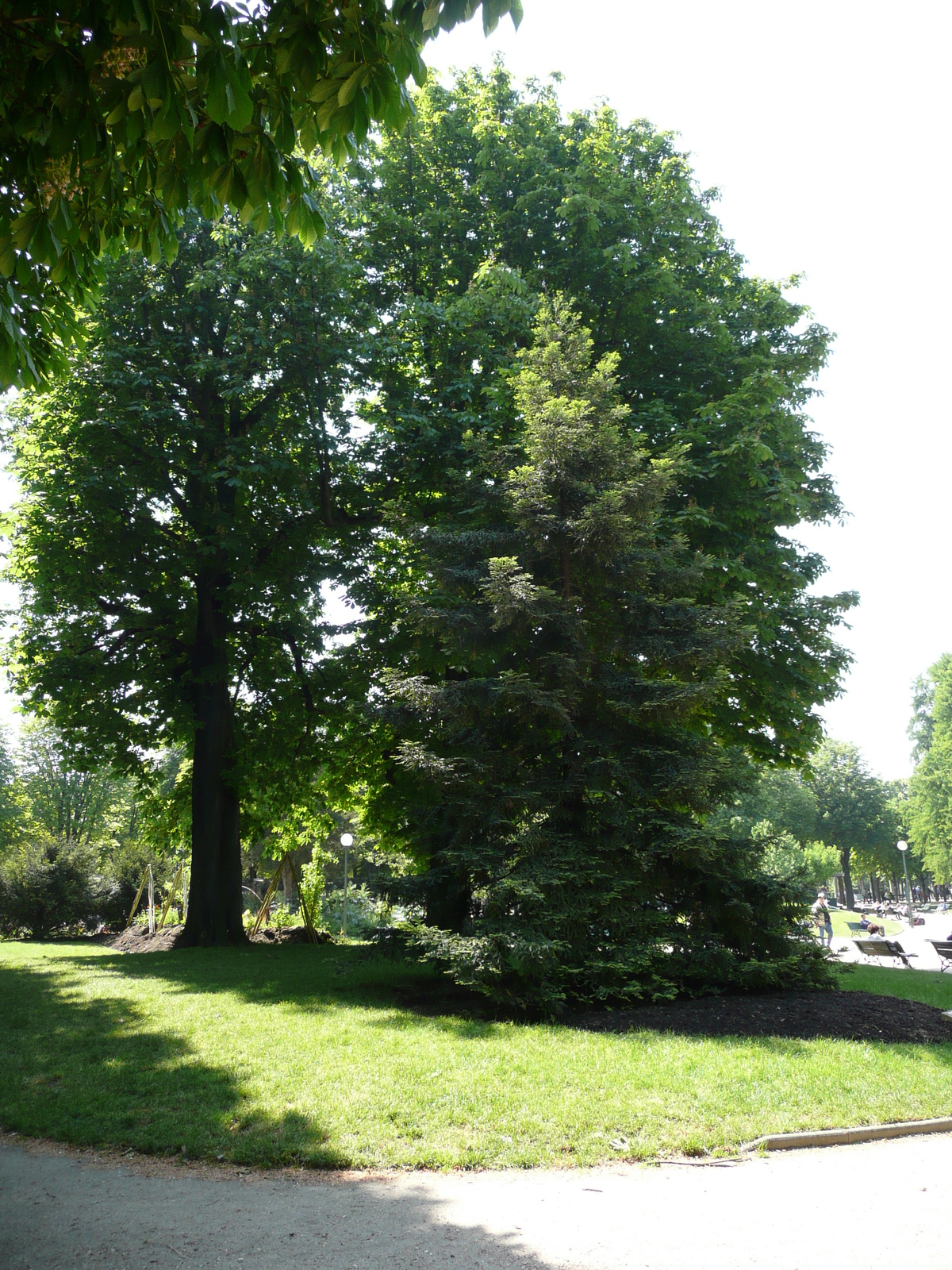 รูปถ่าย ฝรั่งเศส(France) ปารีส(Paris) ช็องเซลีเซ(Champs Elysees) 2007-05 21