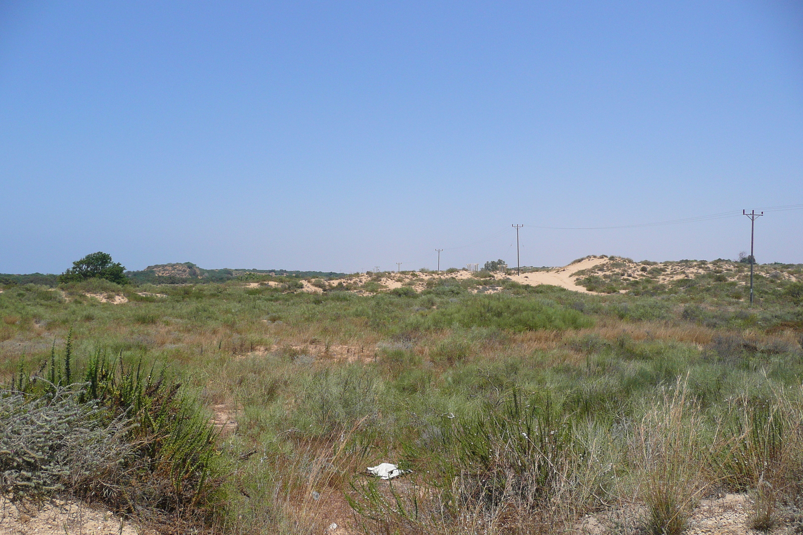 รูปถ่าย อิสราเอล(Israel) นิทซาน(Nitzan) 2007-06 81