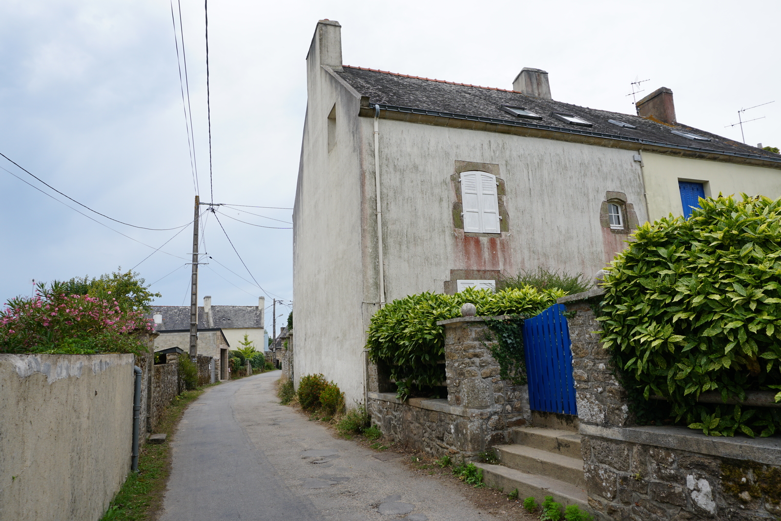 รูปถ่าย ฝรั่งเศส(France) เกาะโอมวน(Ile-aux-Moines) 2016-08 24