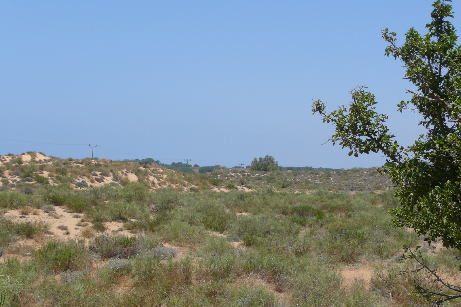 รูปถ่าย อิสราเอล(Israel) นิทซาน(Nitzan) 2007-06 73