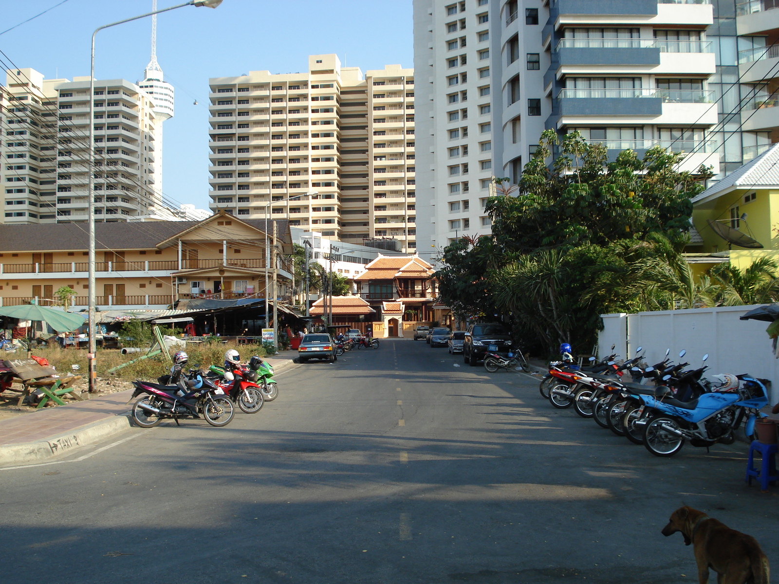 รูปถ่าย ไทย(Thailand) พัทยา(Pattaya) โกลเดนฮอร์น(Golden Horn) 2007-02 7
