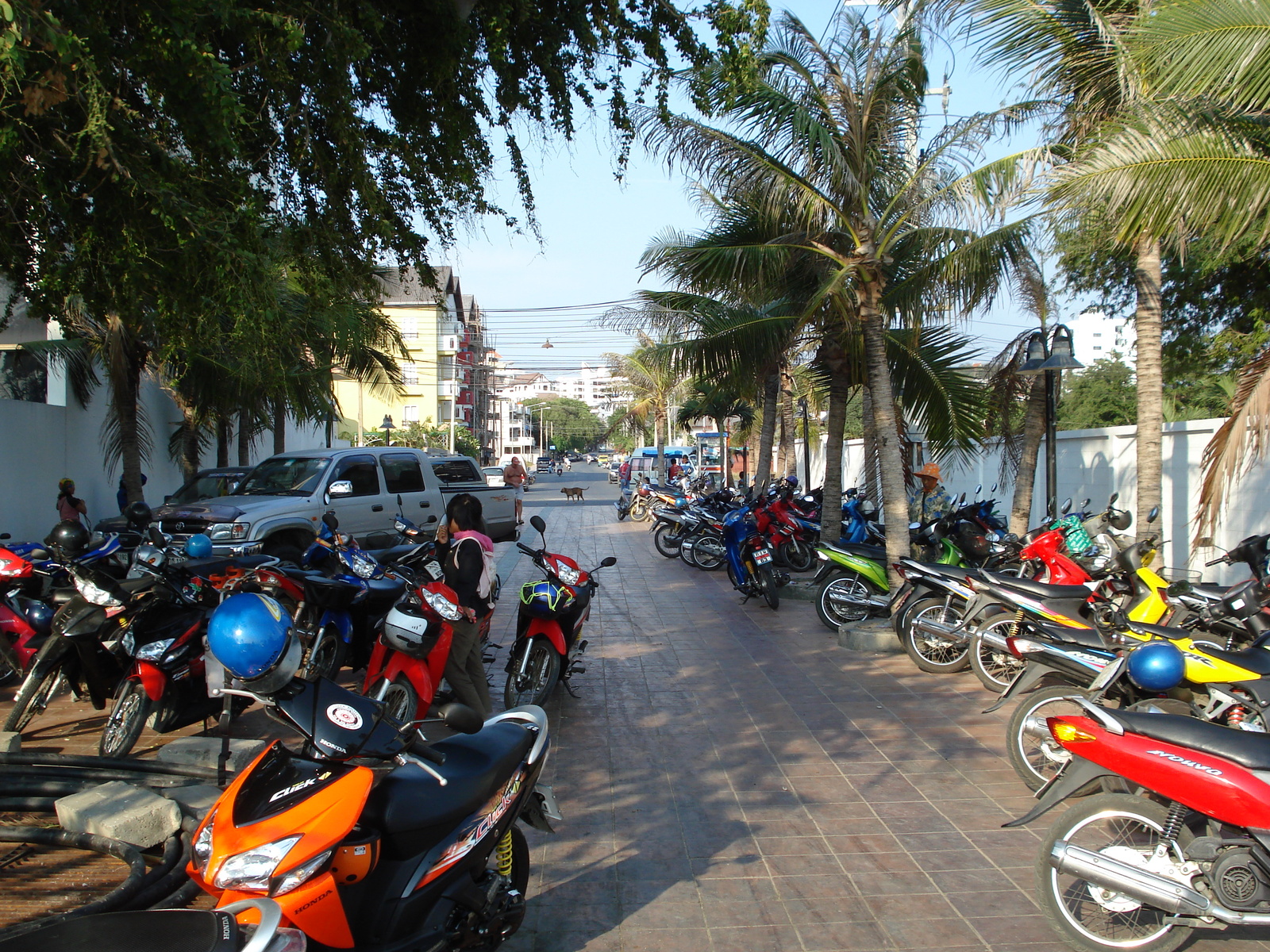 รูปถ่าย ไทย(Thailand) พัทยา(Pattaya) โกลเดนฮอร์น(Golden Horn) 2007-02 15