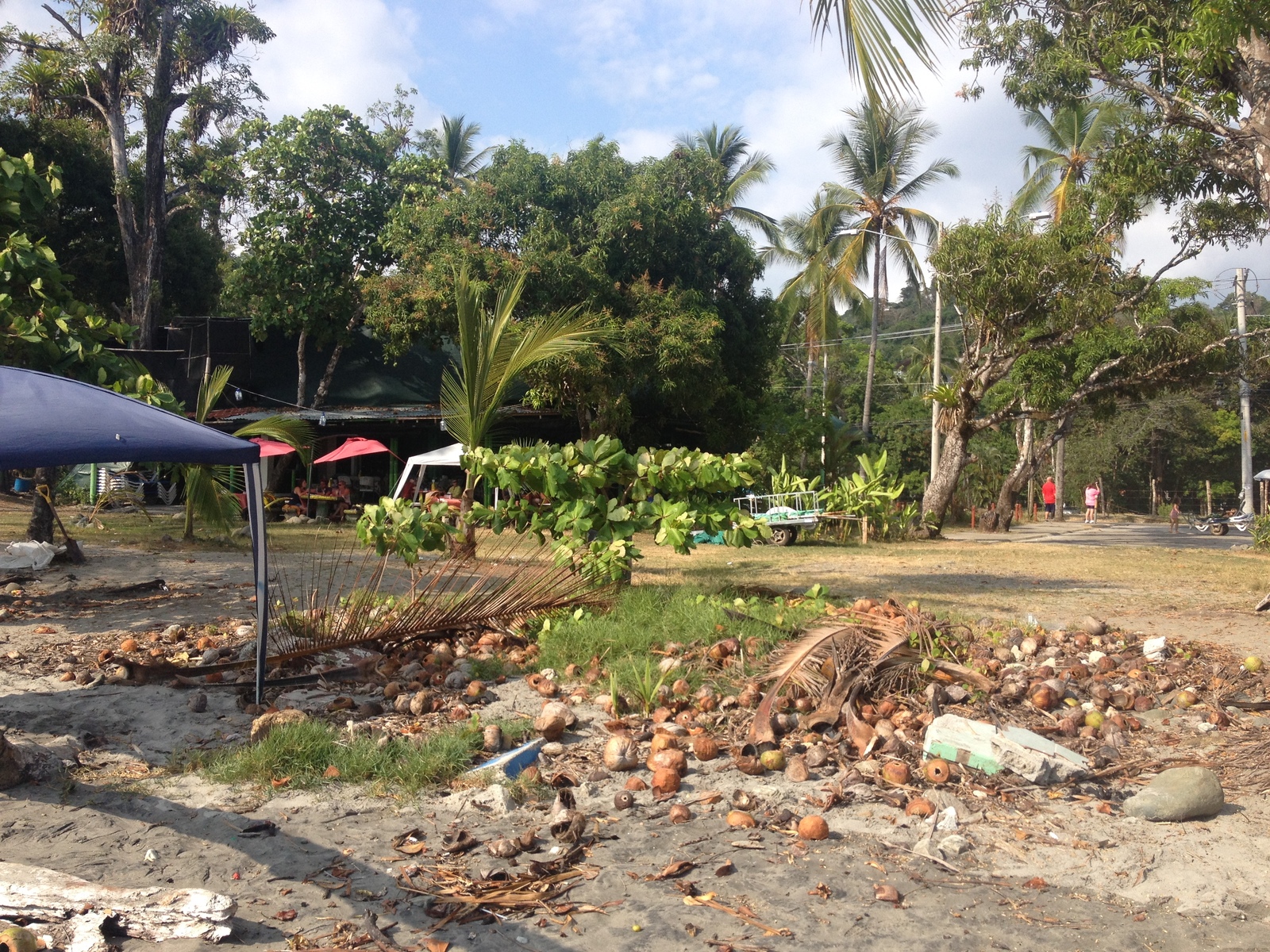 รูปถ่าย คอสตาริกา(Costa Rica) มานวยล์อันโตนีโอ(Manuel Antonio) 2015-03 186