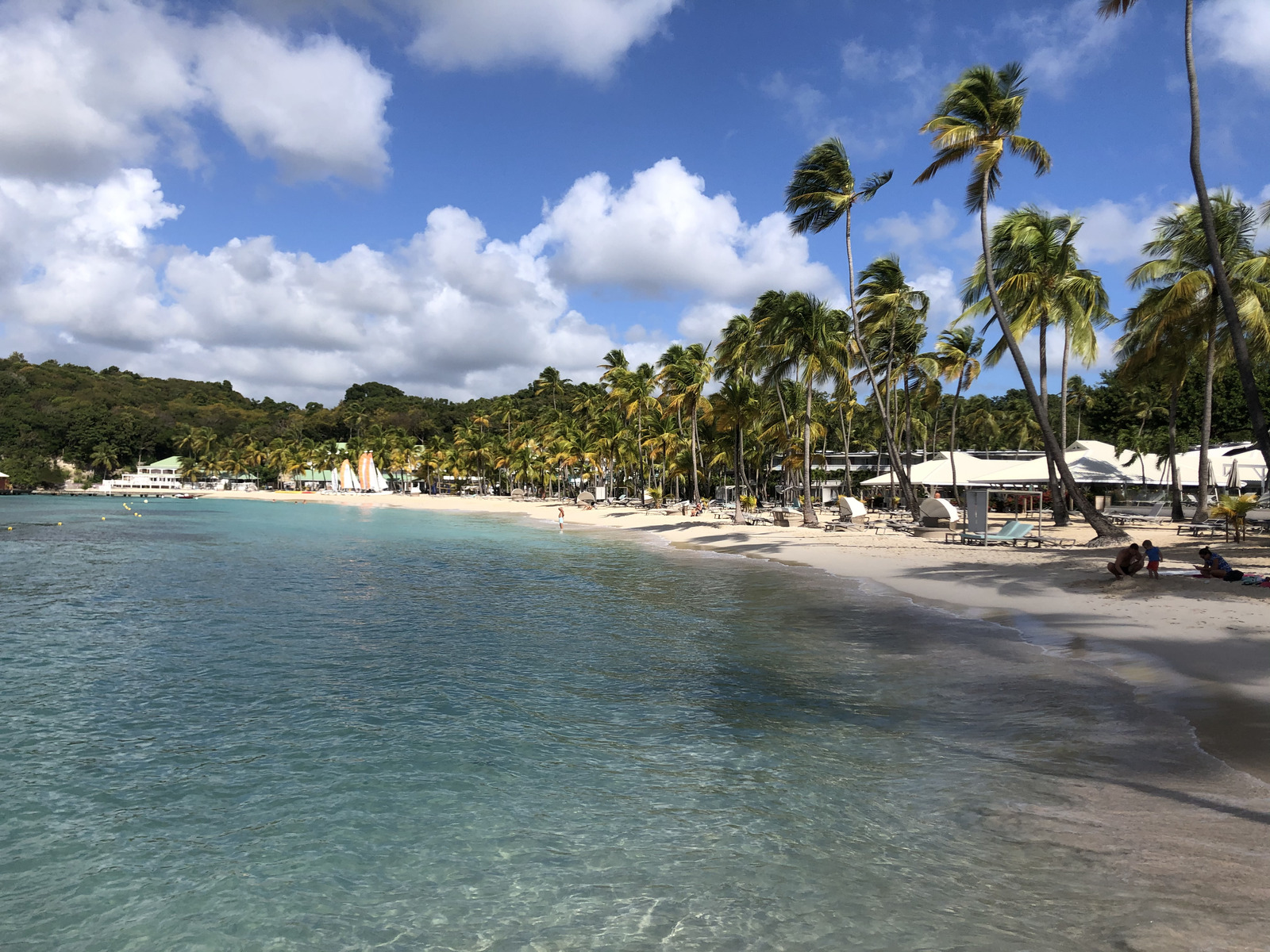 รูปถ่าย กวาเดอลูป(Guadeloupe) หาดลาการาแวล(La Caravelle Beach) 2021-02 136