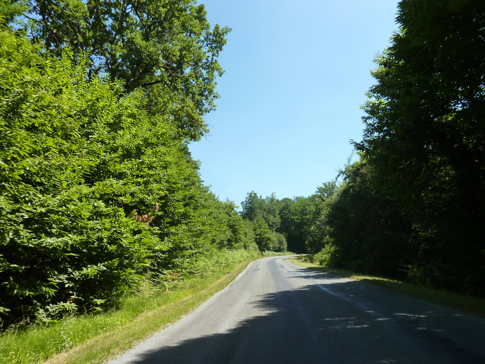 รูปถ่าย ฝรั่งเศส(France) เปรีกอร์(Perigord) 2009-07 13