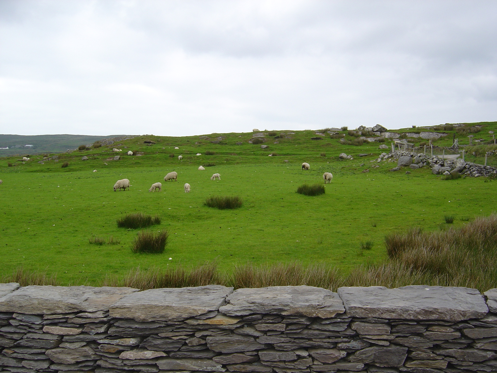 รูปถ่าย ไอร์แลนด์(Ireland) เคอร์รี่(Kerry) เคลส์(Kells) 2004-05 0