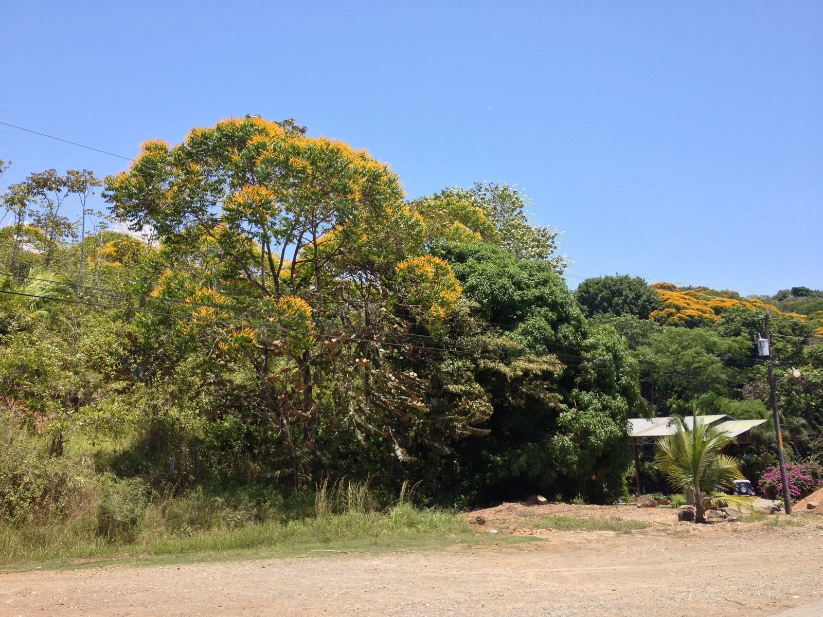 รูปถ่าย คอสตาริกา(Costa Rica) ฝั่งมหาสมุทรแปซิฟิก(Pacific Border) 2015-03 11