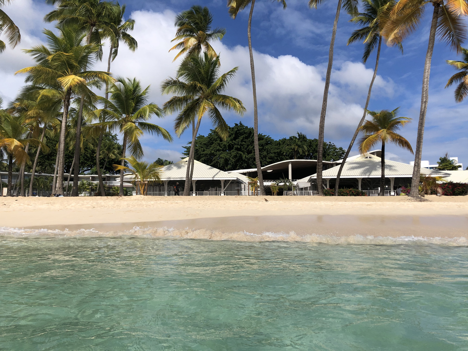 รูปถ่าย กวาเดอลูป(Guadeloupe) หาดลาการาแวล(La Caravelle Beach) 2021-02 35