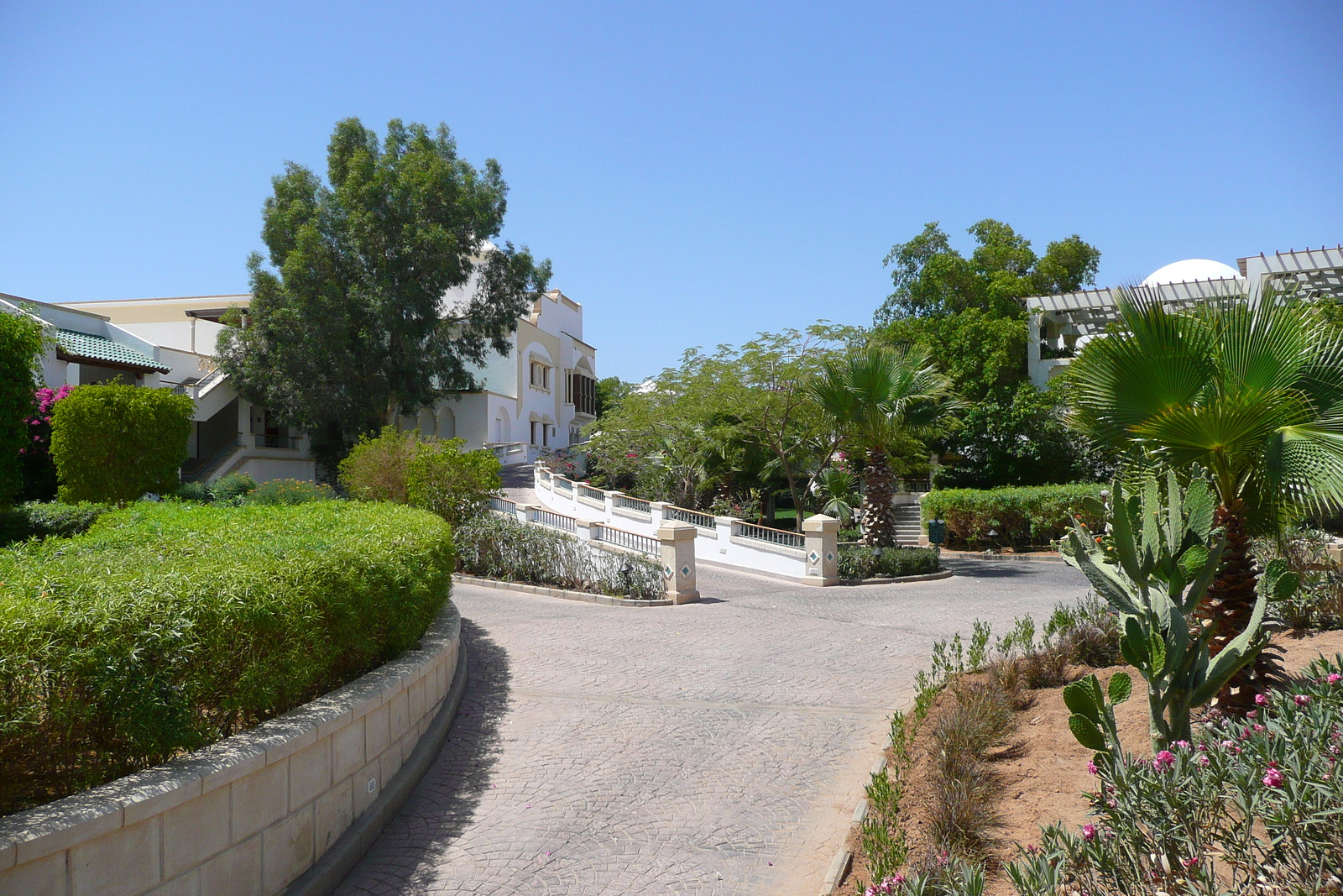 รูปถ่าย อียิปต์(Egypt) ชาร์มเอลชีค(Sharm el Sheikh) โรงแรมไฮแอต(Hyatt Hotel) 2008-06 46