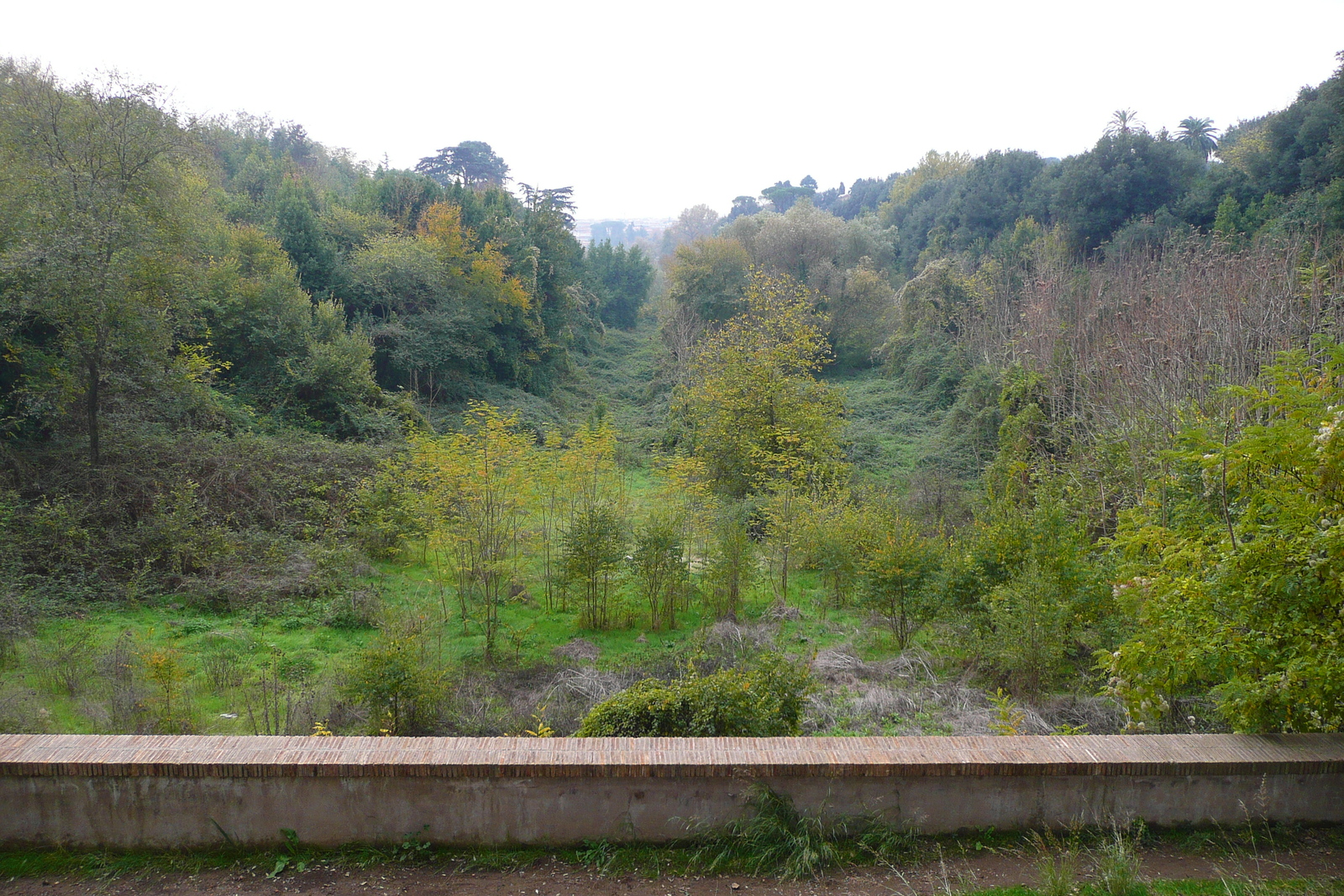 รูปถ่าย อิตาลี(Italy) โรม(Rome) วิลลาโดเรียปัมฟีลี(Villa Doria Pamphili) 2007-11 51