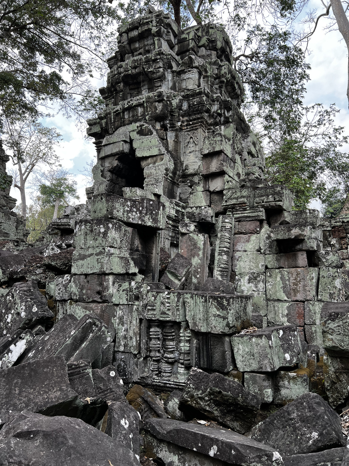 รูปถ่าย กัมพูชา(Cambodia) เสียมราฐ(Siem Reap) ปราสาทตาพรหม(Ta Prohm) 2023-01 63