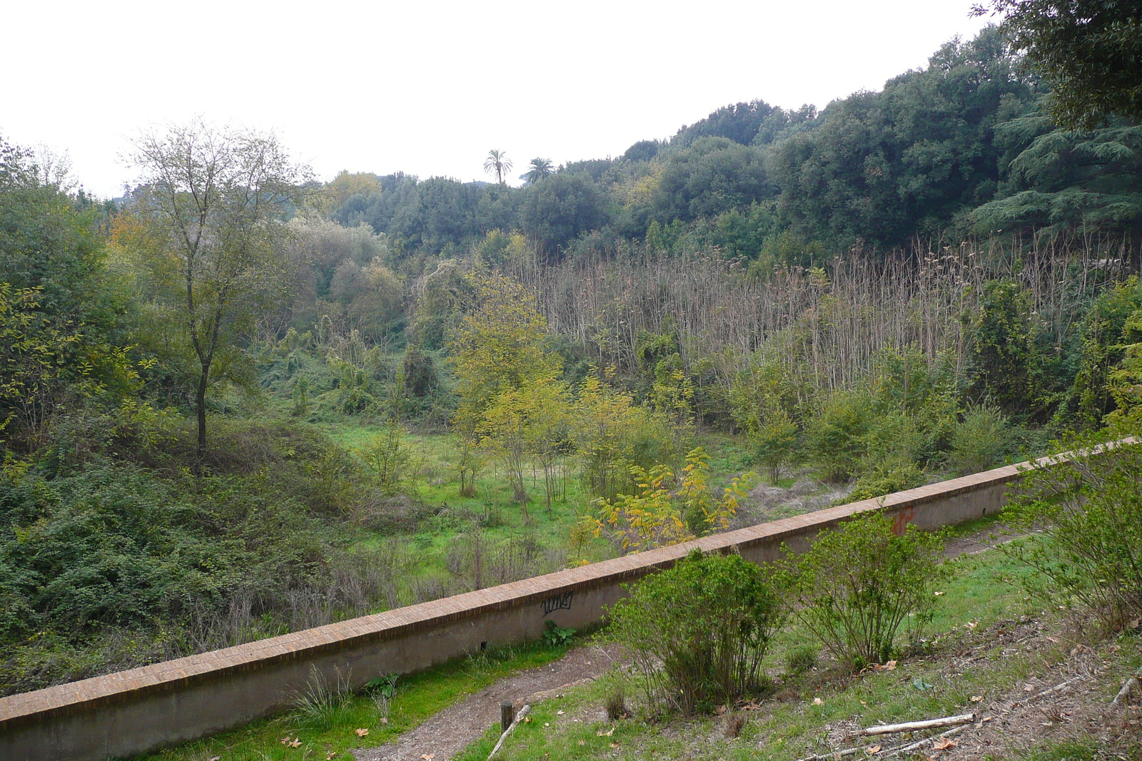 รูปถ่าย อิตาลี(Italy) โรม(Rome) วิลลาโดเรียปัมฟีลี(Villa Doria Pamphili) 2007-11 50