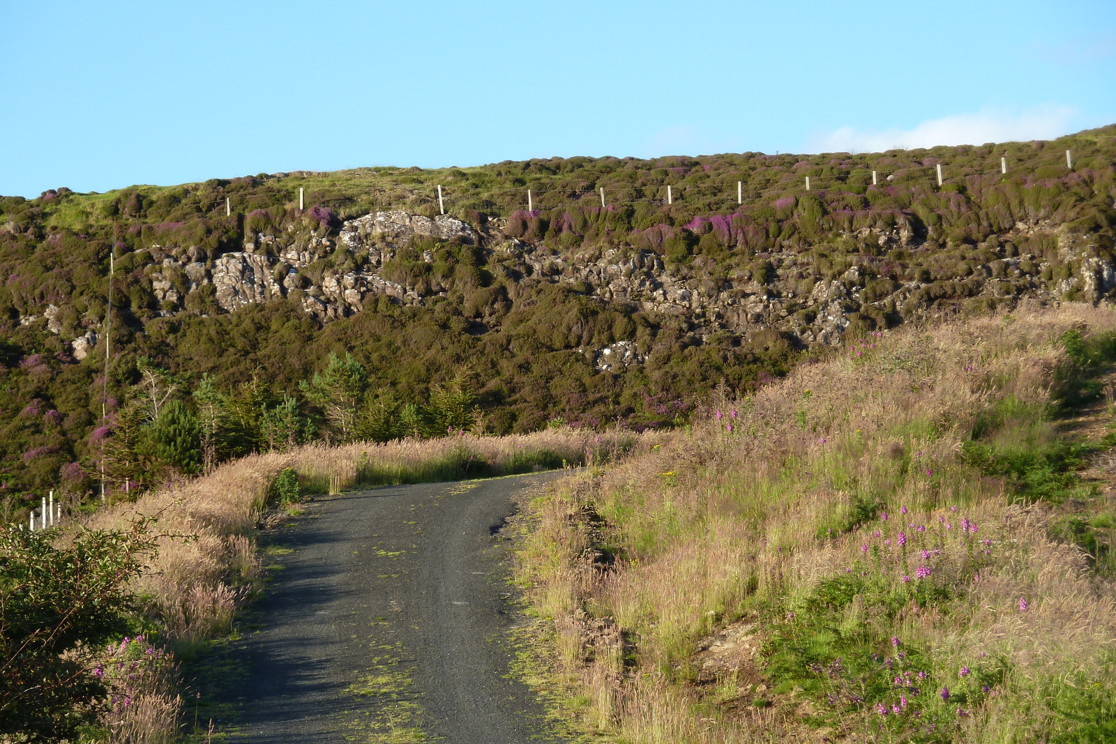 รูปถ่าย อังกฤษ(United Kingdom) เกาะสกาย(Skye) 2011-07 9