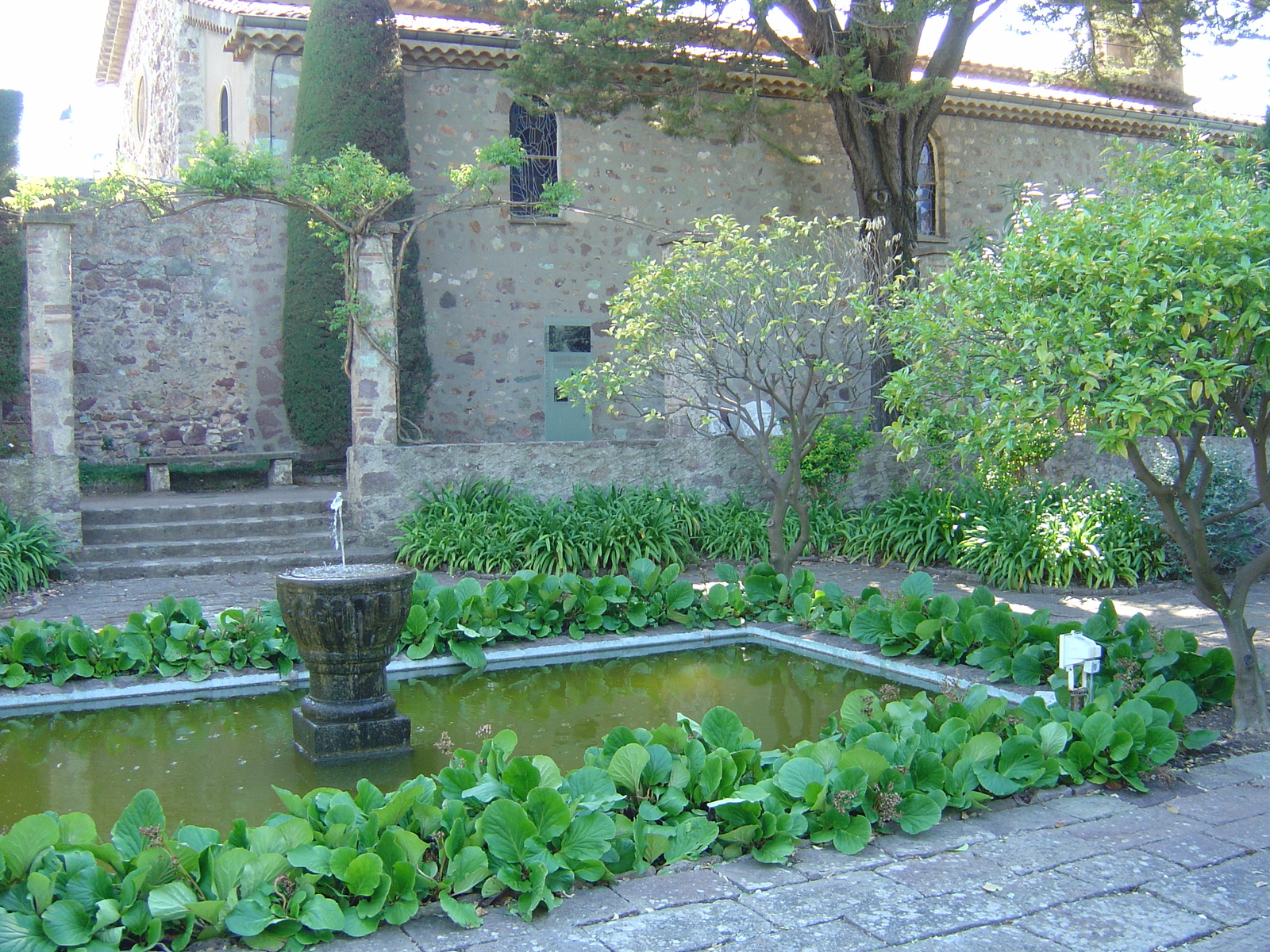 รูปถ่าย ฝรั่งเศส(France) ลานาปูล(La Napoule) 2005-05 38