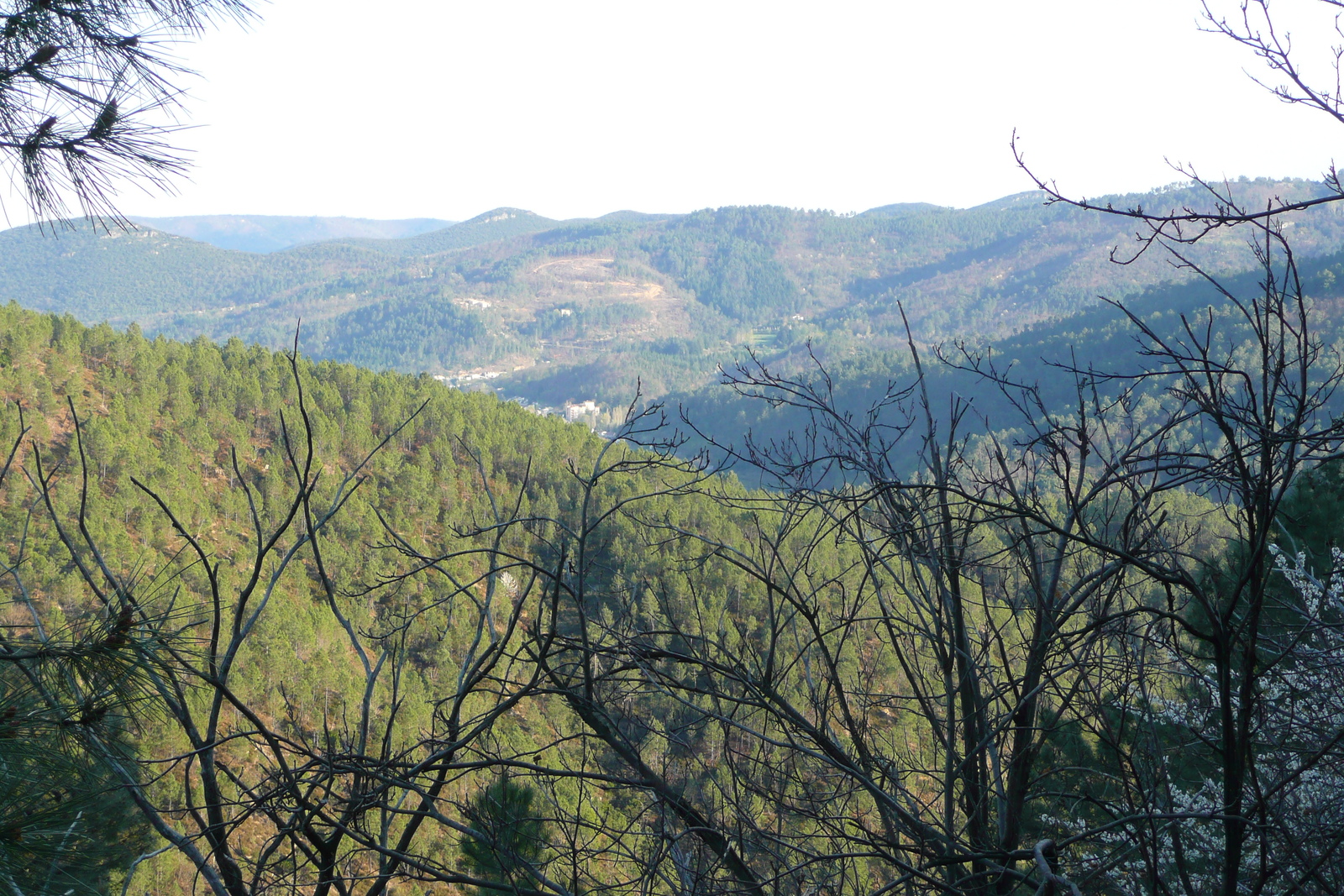 รูปถ่าย ฝรั่งเศส(France) เทือกเขาเซแวน(Cevennes Mountains) 2008-04 40