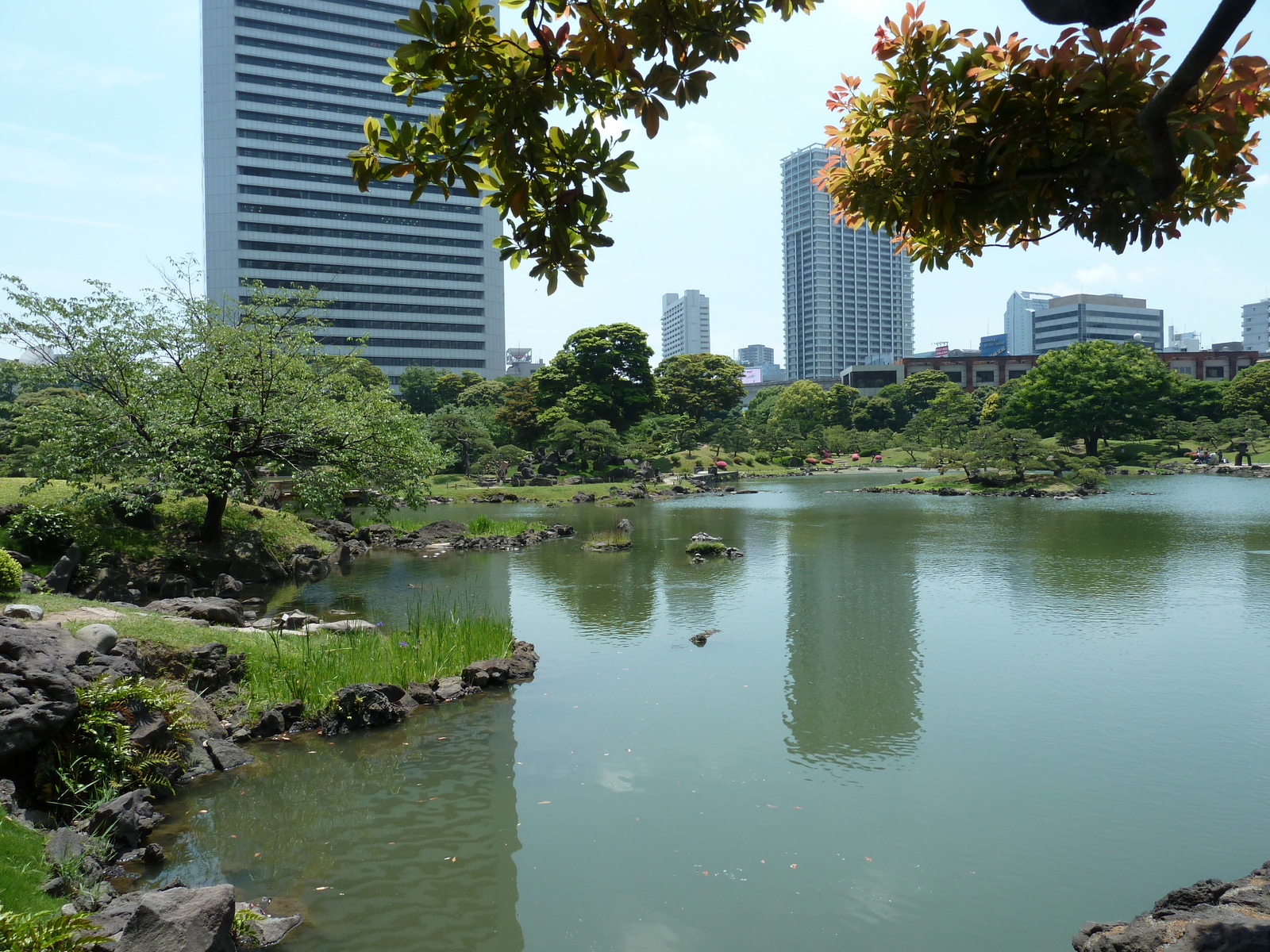 รูปถ่าย ญี่ปุ่น(Japan) โตเกียว(Tokyo) สวนคิวชิบะริคิว(Kyu Shiba rikyu Gardens) 2010-06 44