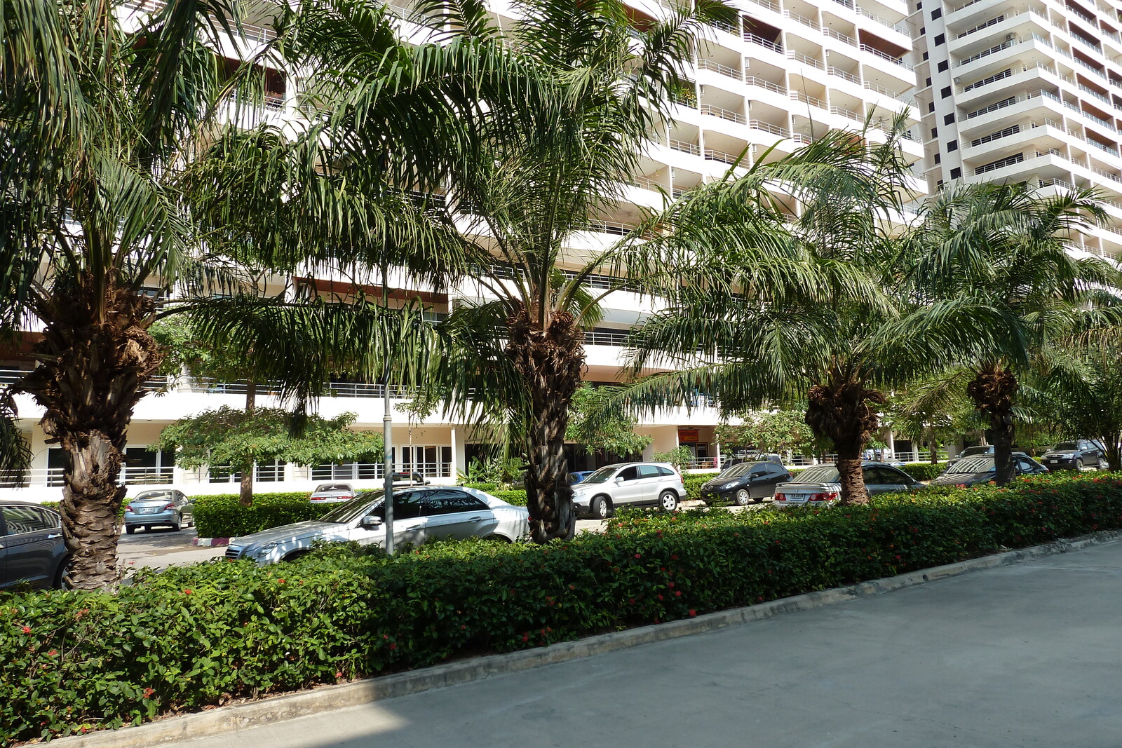 รูปถ่าย ไทย(Thailand) พัทยา(Pattaya) วิวทะเล 3(View Talay 3) 2011-01 59