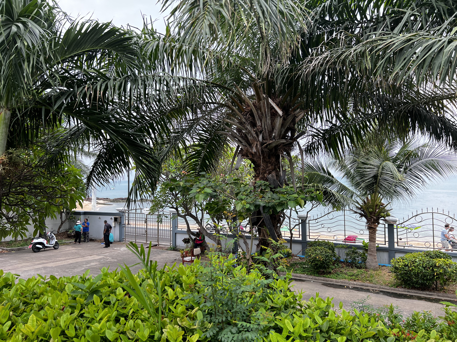 รูปถ่าย ไทย(Thailand) พัทยา(Pattaya) 2023-01 11