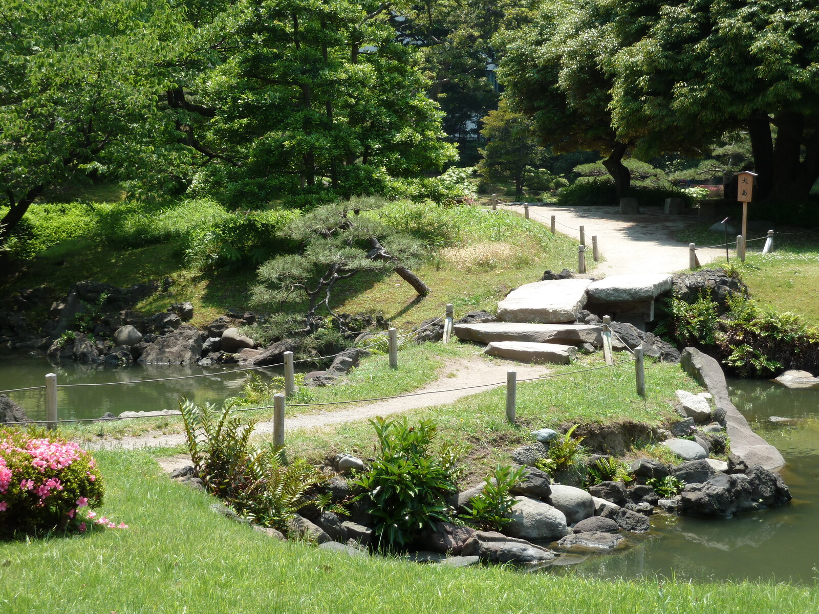 รูปถ่าย ญี่ปุ่น(Japan) โตเกียว(Tokyo) สวนคิวชิบะริคิว(Kyu Shiba rikyu Gardens) 2010-06 20