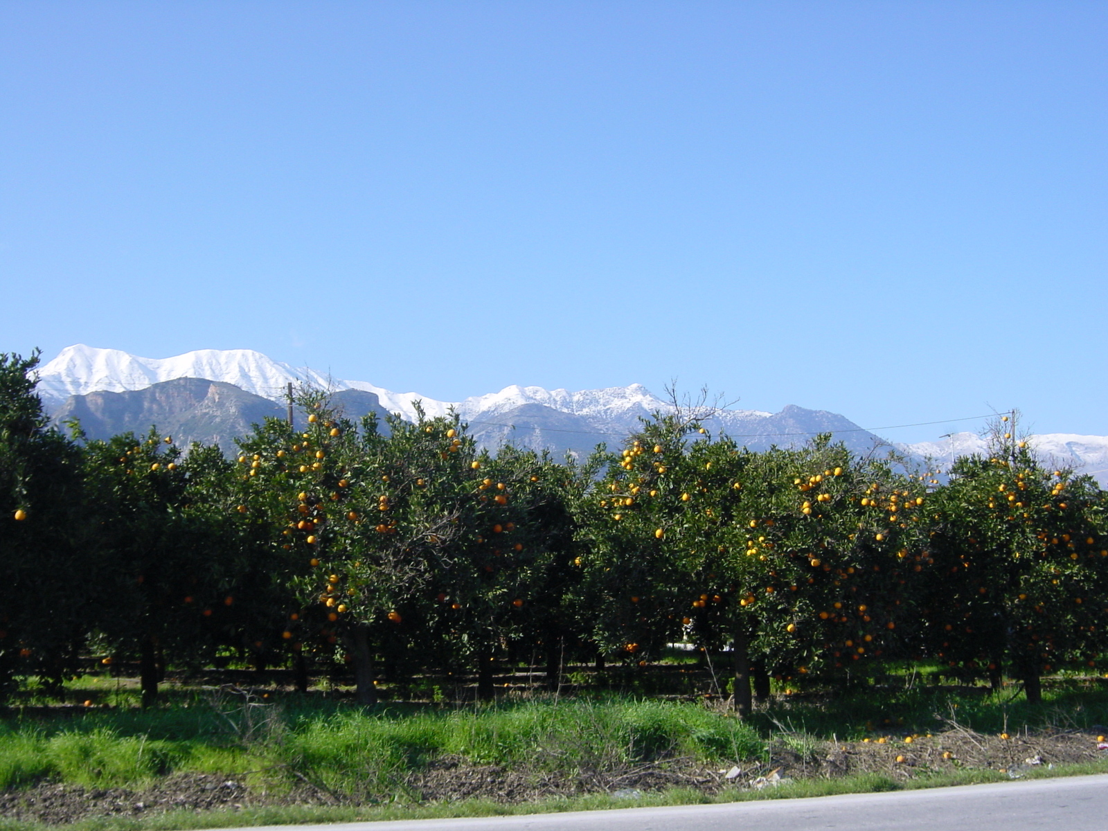 รูปถ่าย กรีก(Greece) ลิเมนิ(Limeni) 2003-12 10