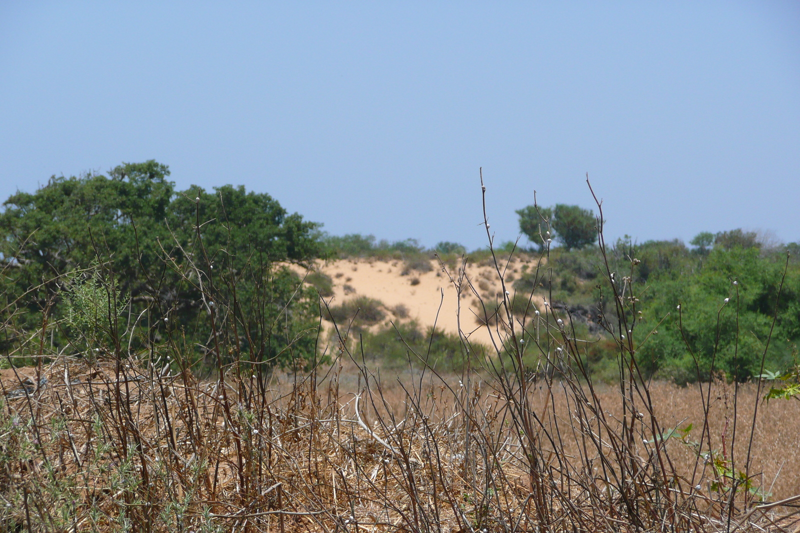 รูปถ่าย อิสราเอล(Israel) นิทซาน(Nitzan) 2007-06 43