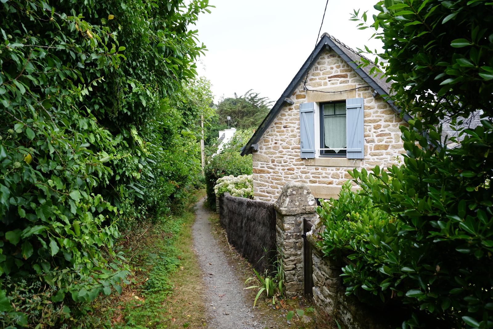 รูปถ่าย ฝรั่งเศส(France) เกาะโอมวน(Ile-aux-Moines) 2016-08 114