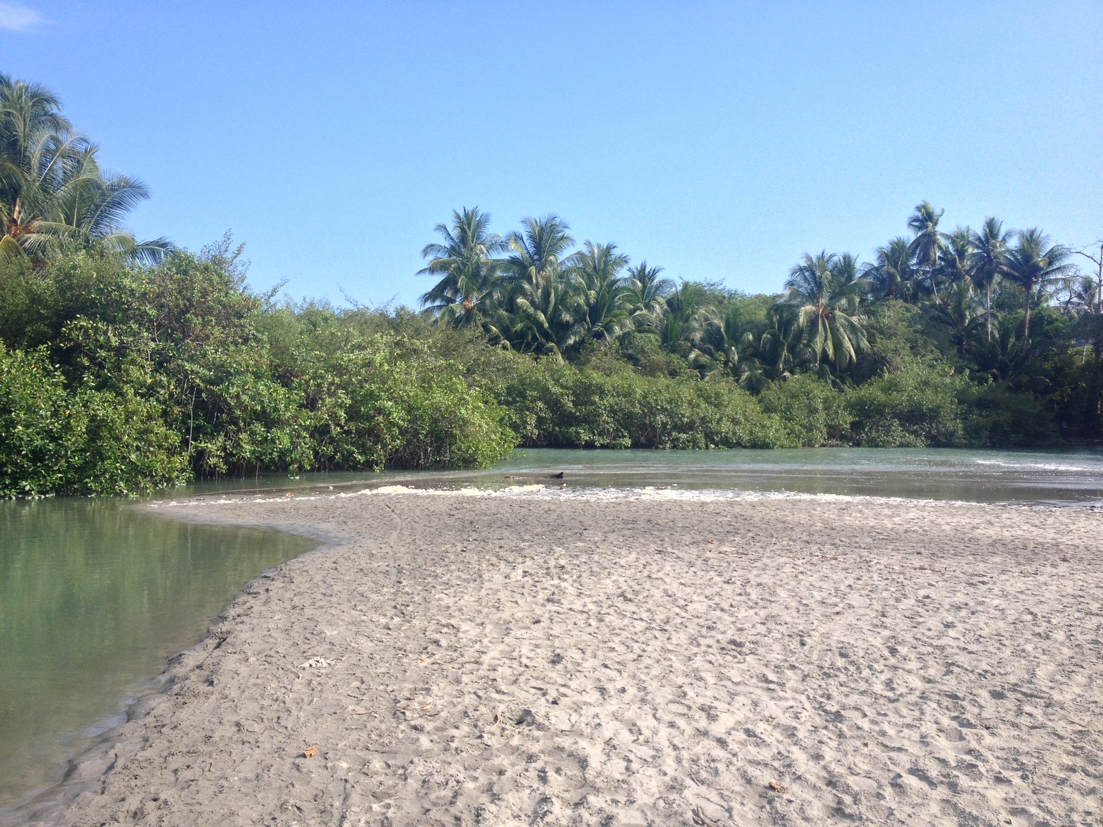 รูปถ่าย คอสตาริกา(Costa Rica) มานวยล์อันโตนีโอ(Manuel Antonio) 2015-03 287
