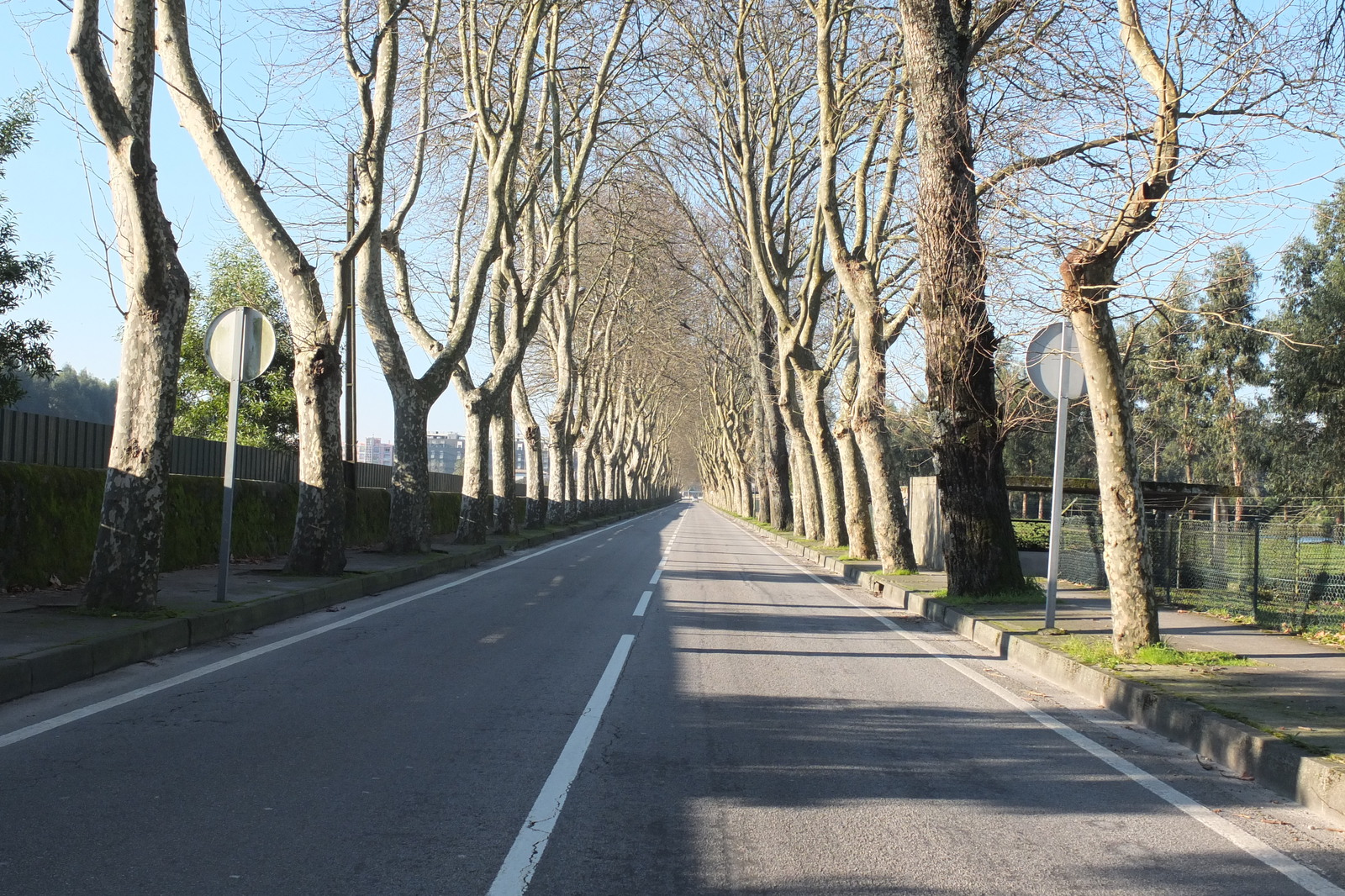 รูปถ่าย โปรตุเกส(Portugal) วีอานาดูกัชเตลู(Viana do Castelo) 2013-01 20