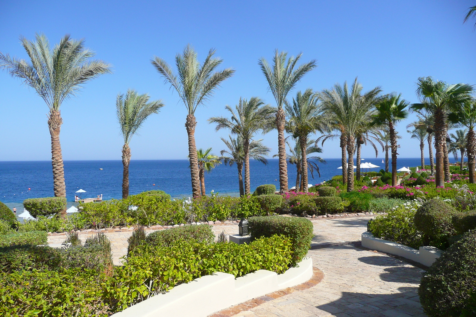 รูปถ่าย อียิปต์(Egypt) ชาร์มเอลชีค(Sharm el Sheikh) โรงแรมโฟร์ซีซันส์(Four Seasons Hotel) หาดโฟร์ซีซันส์(Four Seasons Beach) 2008-06 19