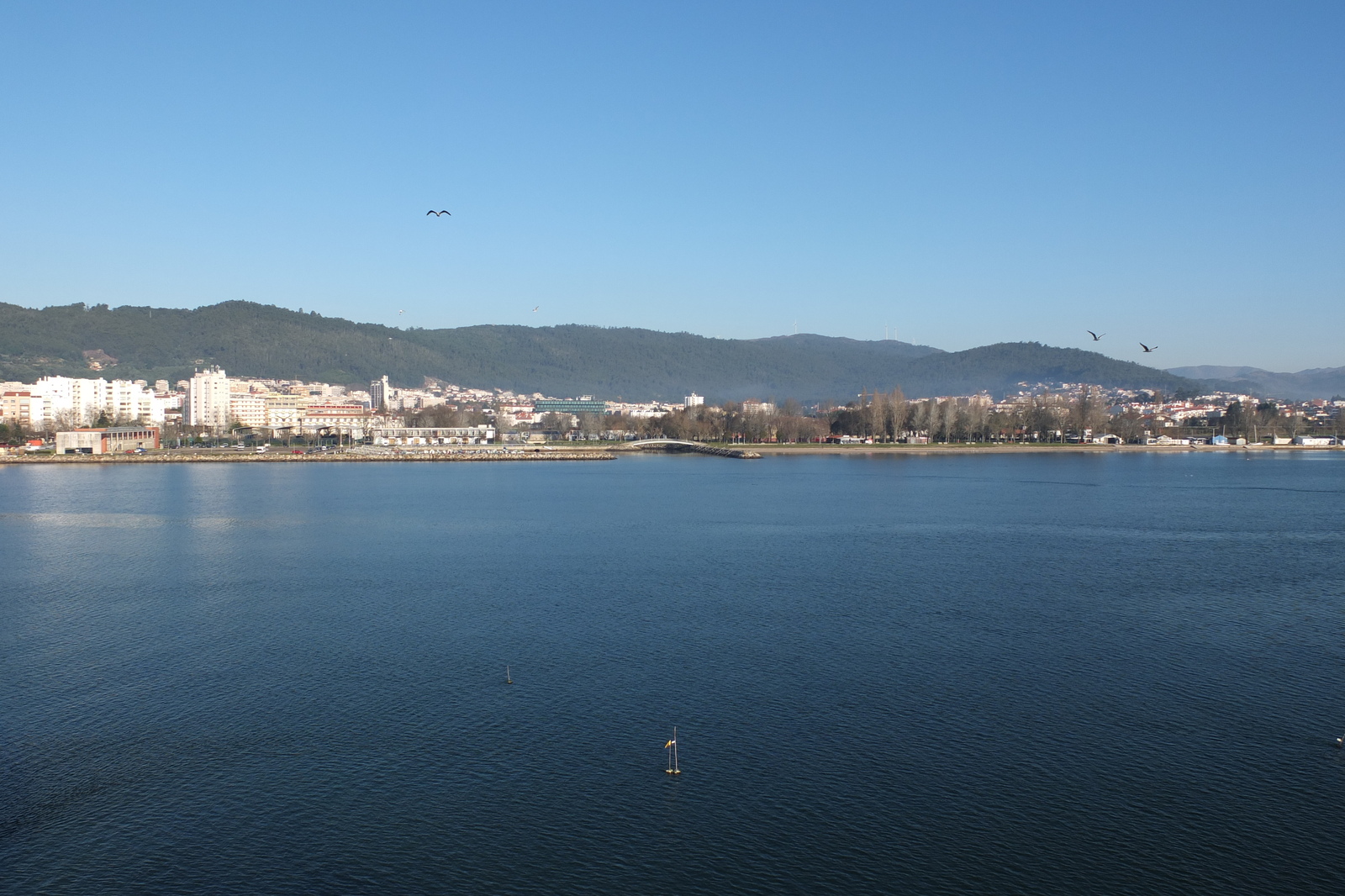 รูปถ่าย โปรตุเกส(Portugal) วีอานาดูกัชเตลู(Viana do Castelo) 2013-01 42