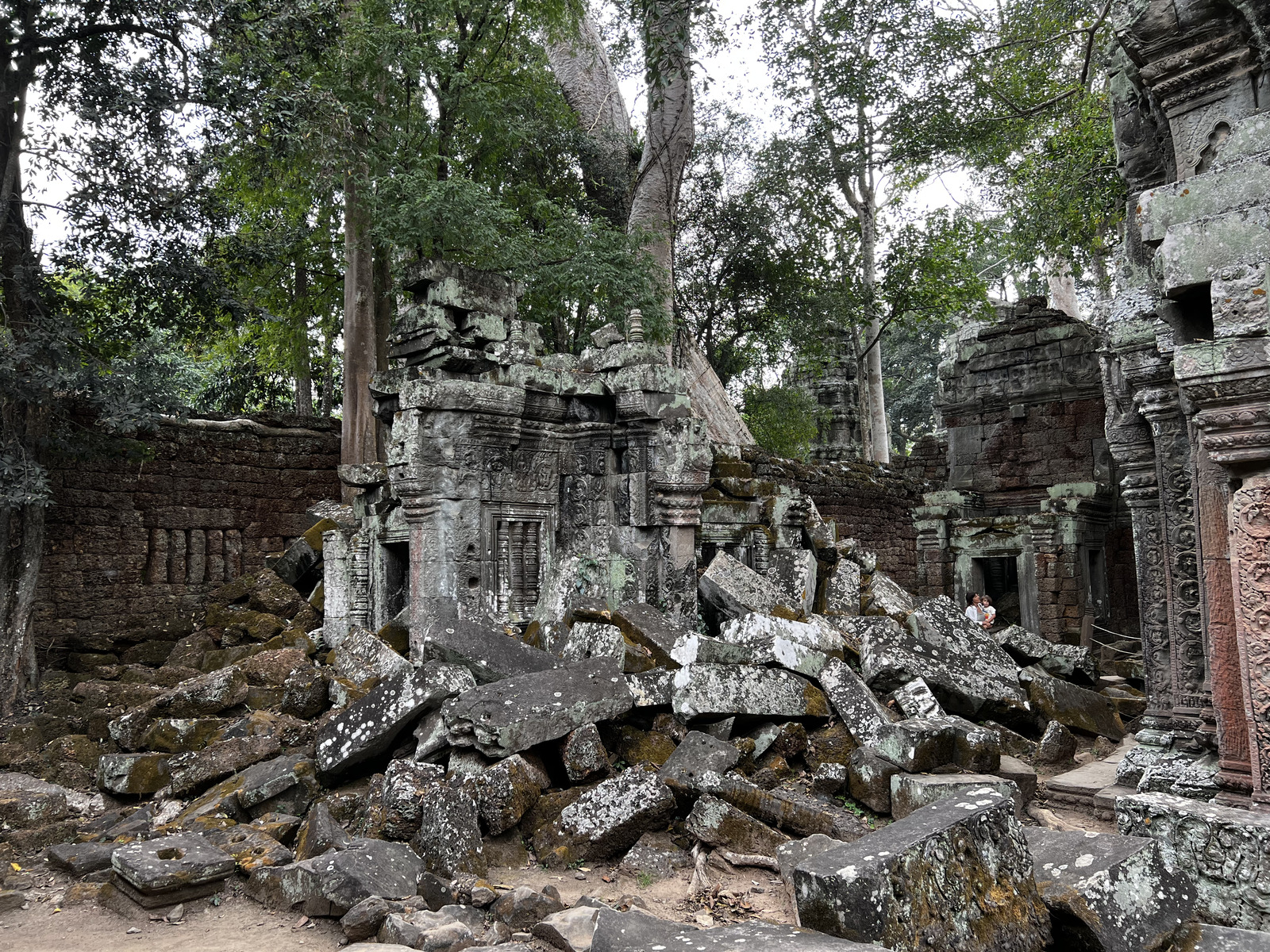 รูปถ่าย กัมพูชา(Cambodia) เสียมราฐ(Siem Reap) ปราสาทตาพรหม(Ta Prohm) 2023-01 56