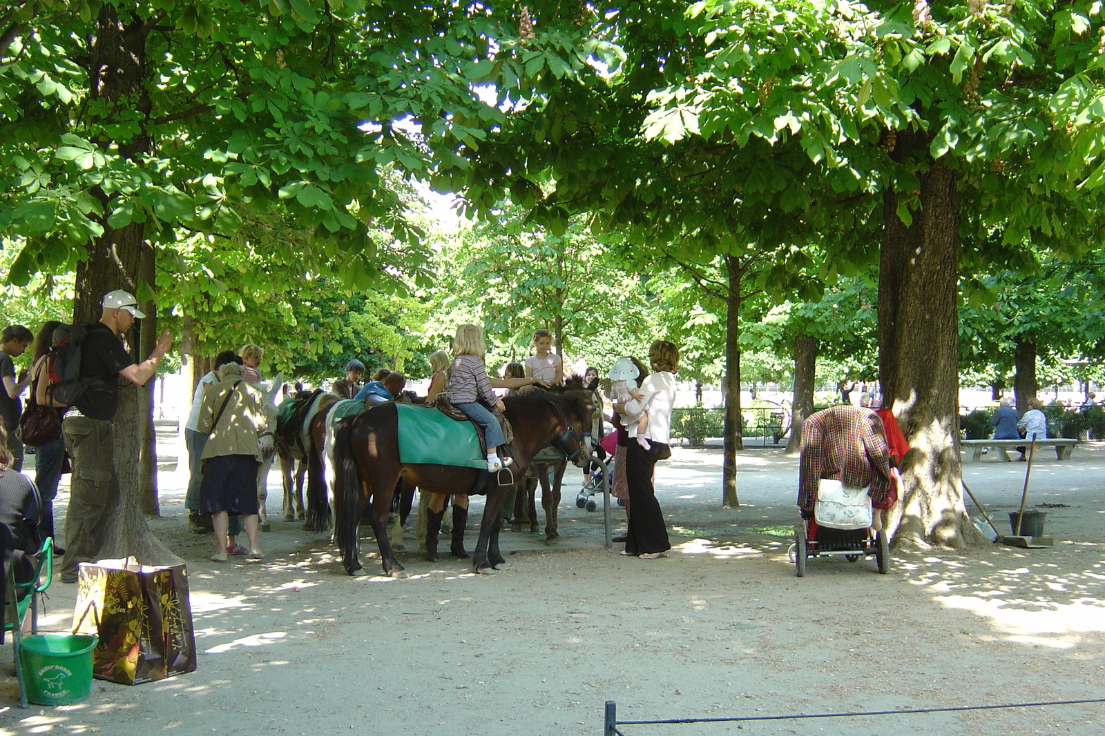 รูปถ่าย ฝรั่งเศส(France) ปารีส(Paris) สวนตุยเลอรี(Garden of Tuileries) 2007-05 6