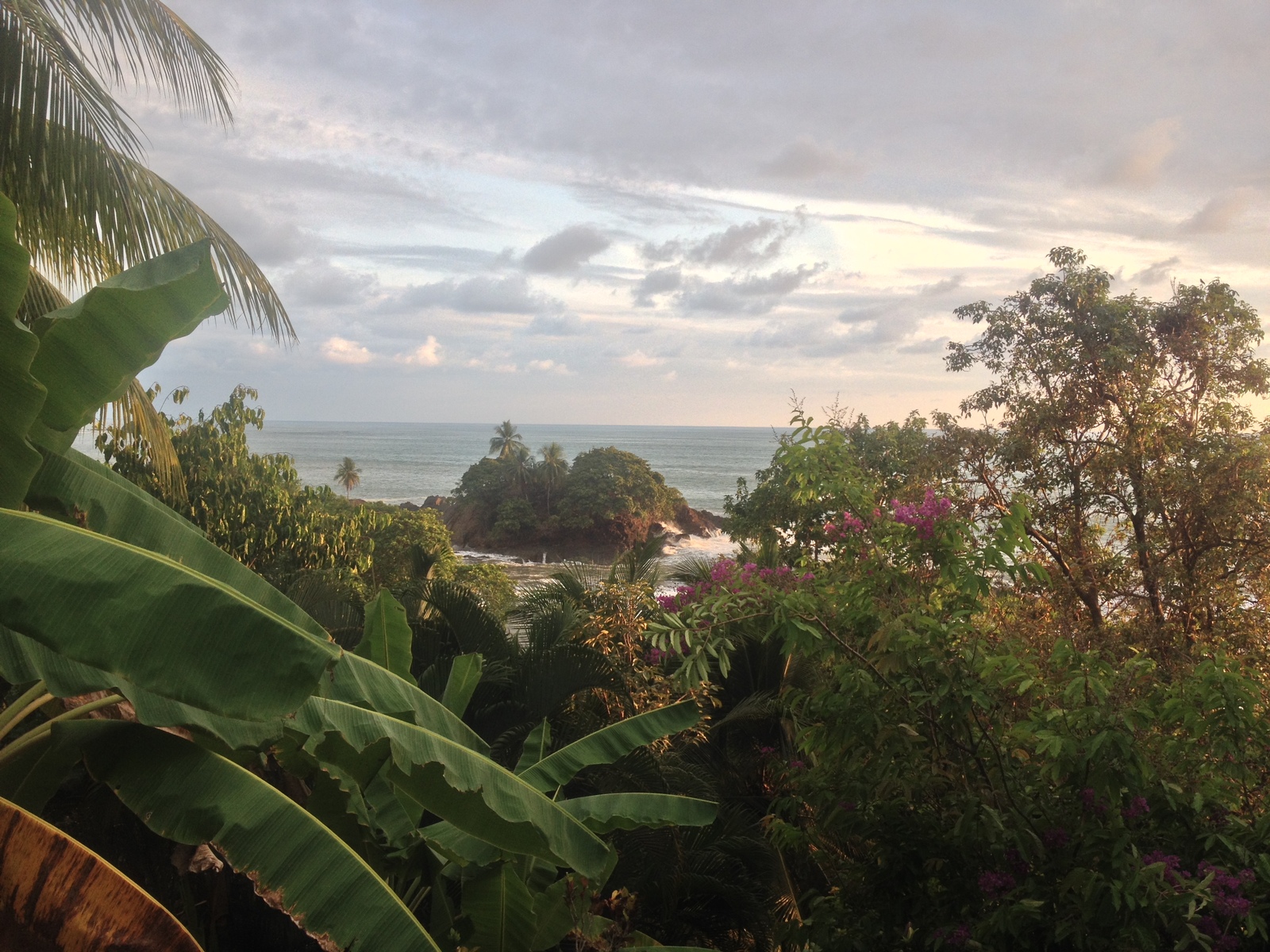รูปถ่าย คอสตาริกา(Costa Rica) โดมินิกัล(Dominical) 2015-03 148