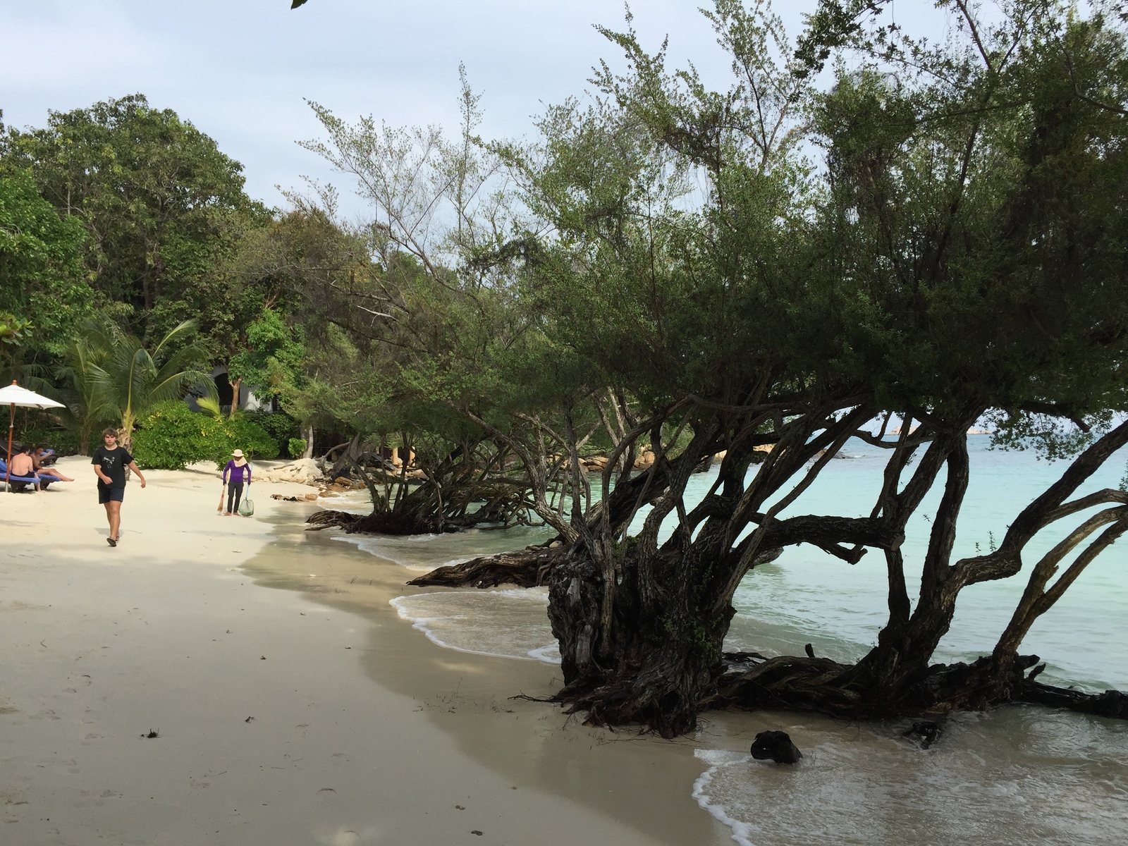 รูปถ่าย ไทย(Thailand) เกาะเสม็ด(Ko Samet) 2014-12 46