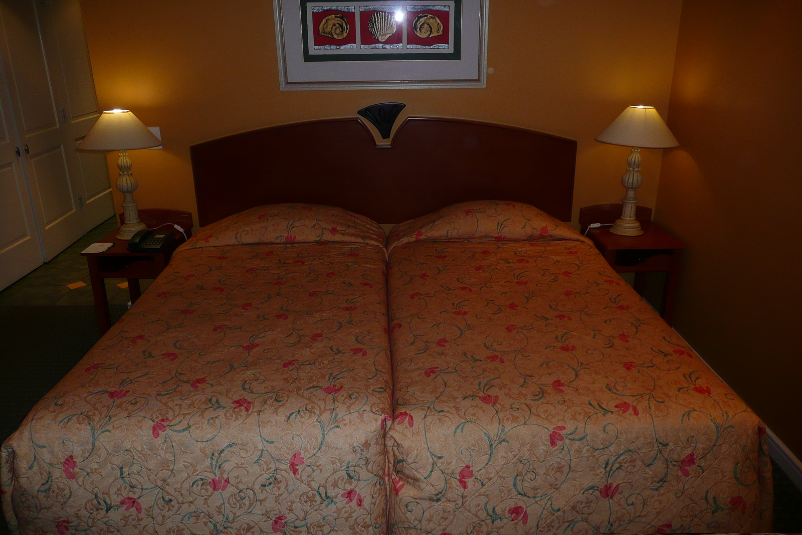 รูปถ่าย แอฟริกาใต้(South Africa) พอร์ตเอลิซาเบธ(Port Elizabeth) โรงแรมคอร์ตยาร์ด(Courtyard Hotel) 2008-09 2