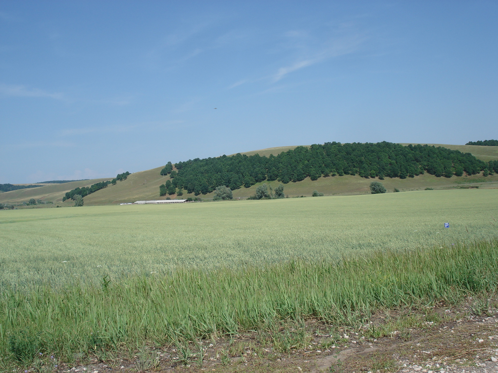 รูปถ่าย รัสเซีย(Russia) จากอูฟาไปคาซาน(From Ufa to Kazan) 2006-07 81