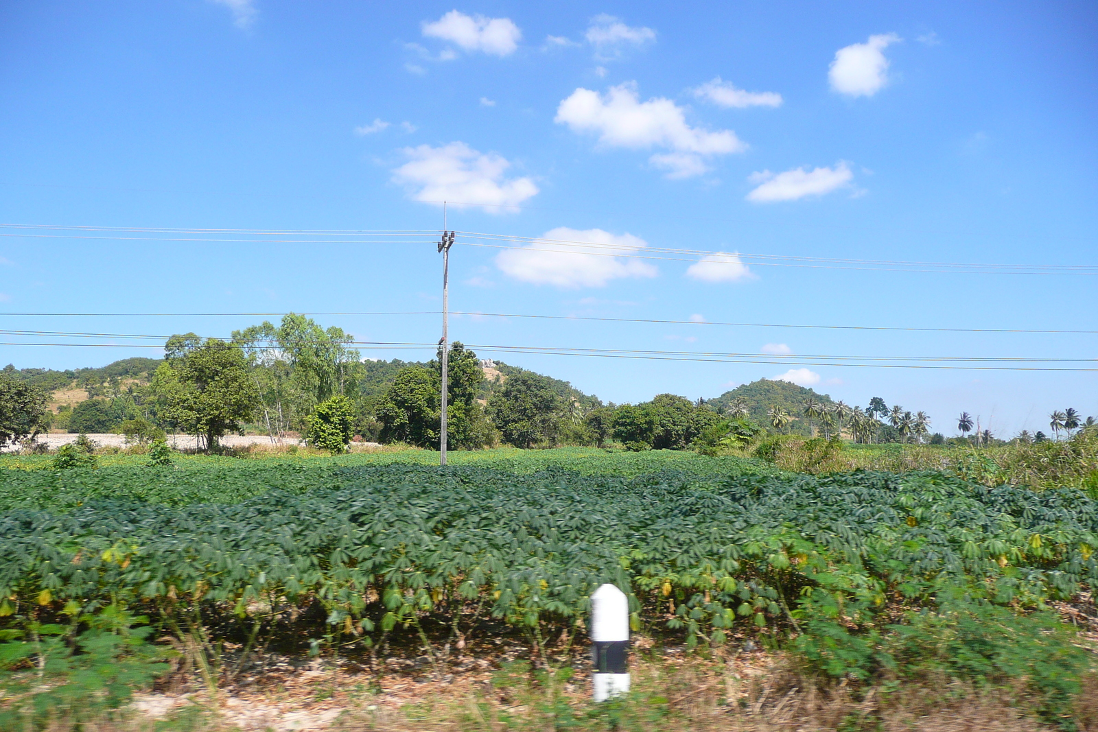 รูปถ่าย ไทย(Thailand) ถนนจากพัทยาไปเกาะเสม็ด(Pattaya to Ko Samet road) 2008-12 57