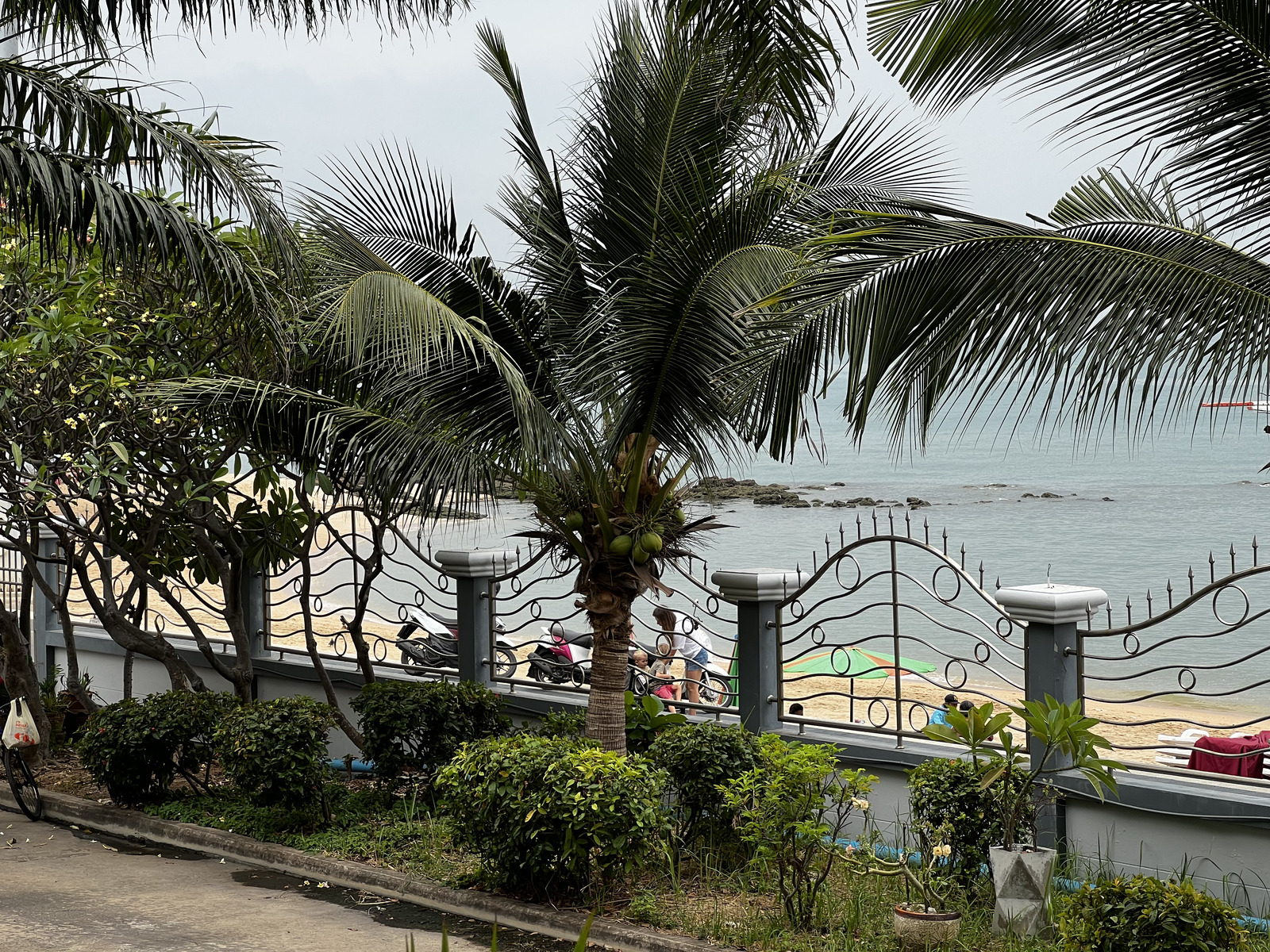 รูปถ่าย ไทย(Thailand) พัทยา(Pattaya) 2023-01 12