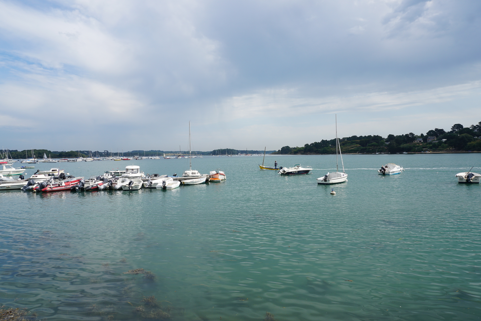รูปถ่าย ฝรั่งเศส(France) เกาะโอมวน(Ile-aux-Moines) 2016-08 57