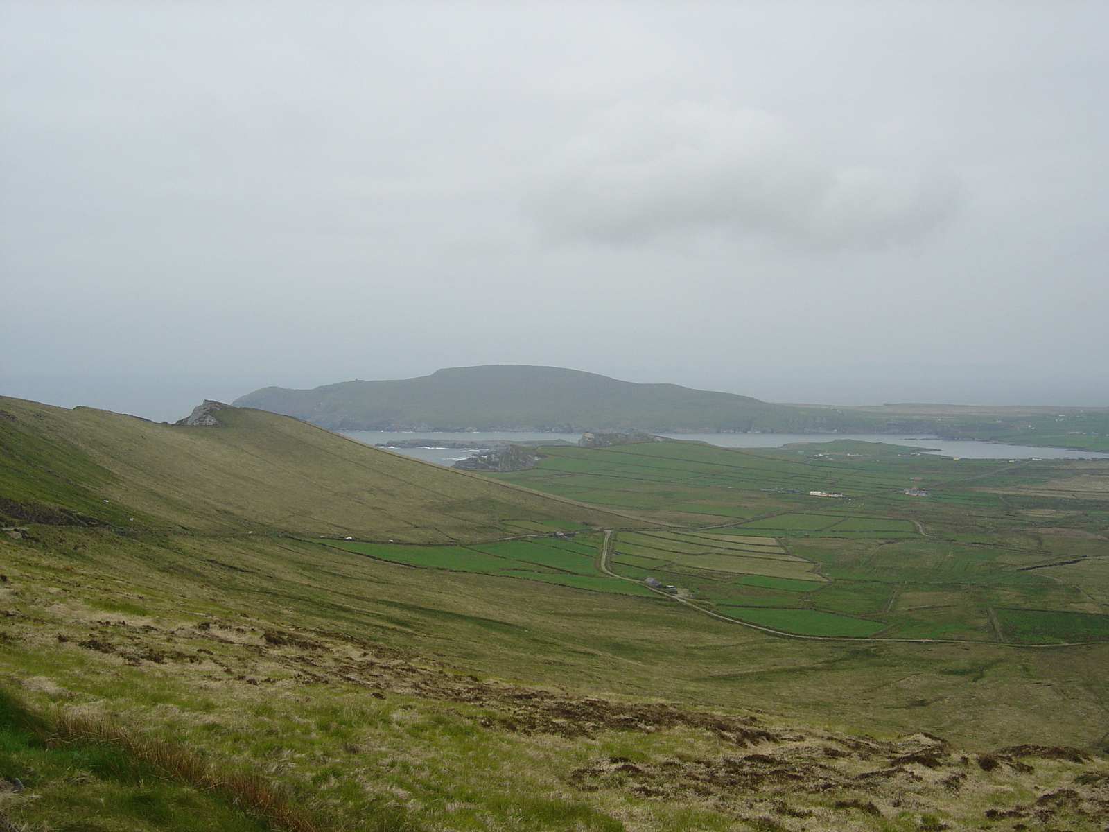 รูปถ่าย ไอร์แลนด์(Ireland) เคอร์รี่(Kerry) บาลลินสเกลลิกส์(Ballinskelligs) 2004-05 19